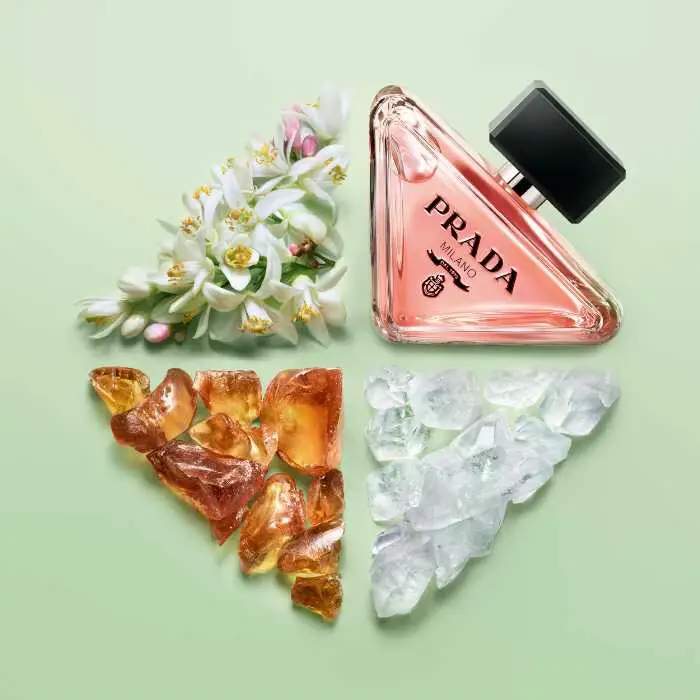 New Icon Fragrance PRADA PARADOX EAU DE PARFUM Finally Launched In new-icon-fragrance-prada-paradox-eau-de-parfum-finally-launched-in