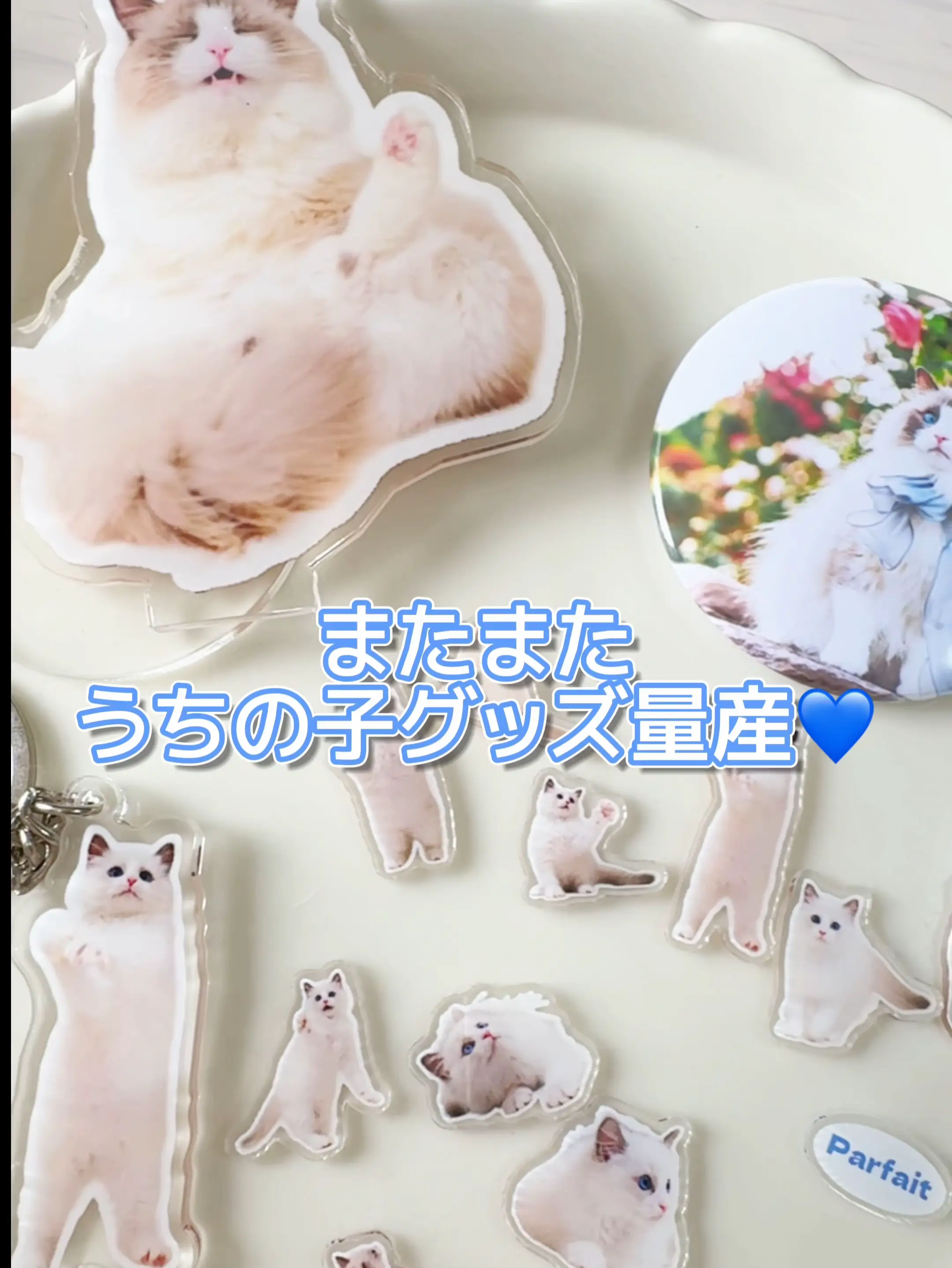 NO.78❤猫❤被っちゃいました❤レジンヘアゴム だらし
