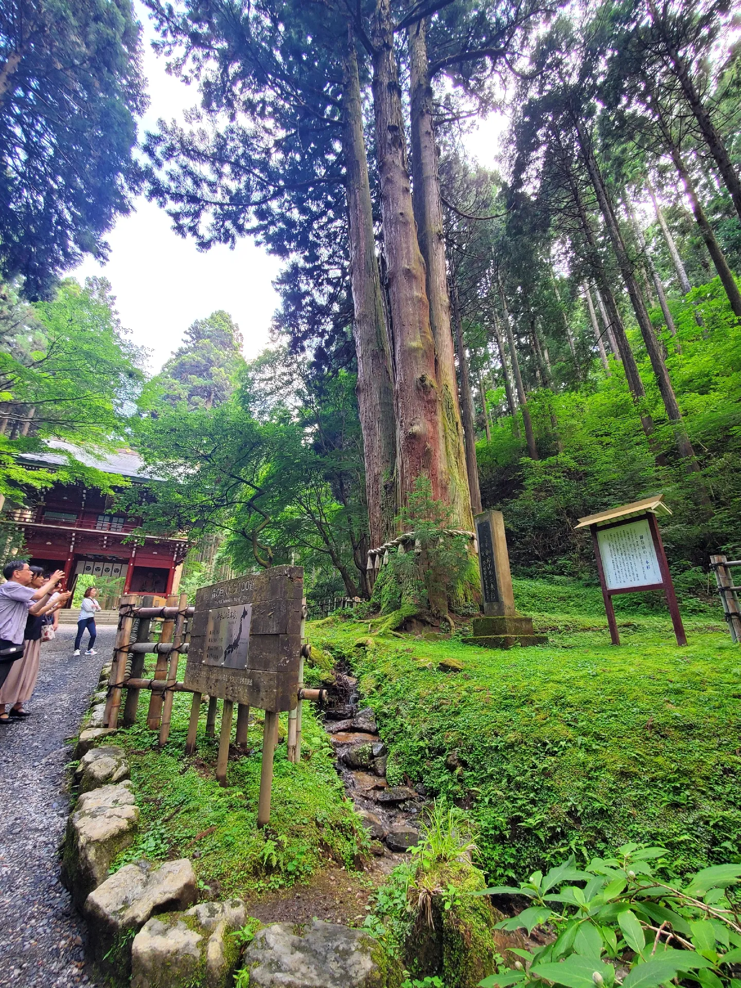 御朱印 御岩神社 限定御朱印 ご朱印 パワースポット スピリチュアル