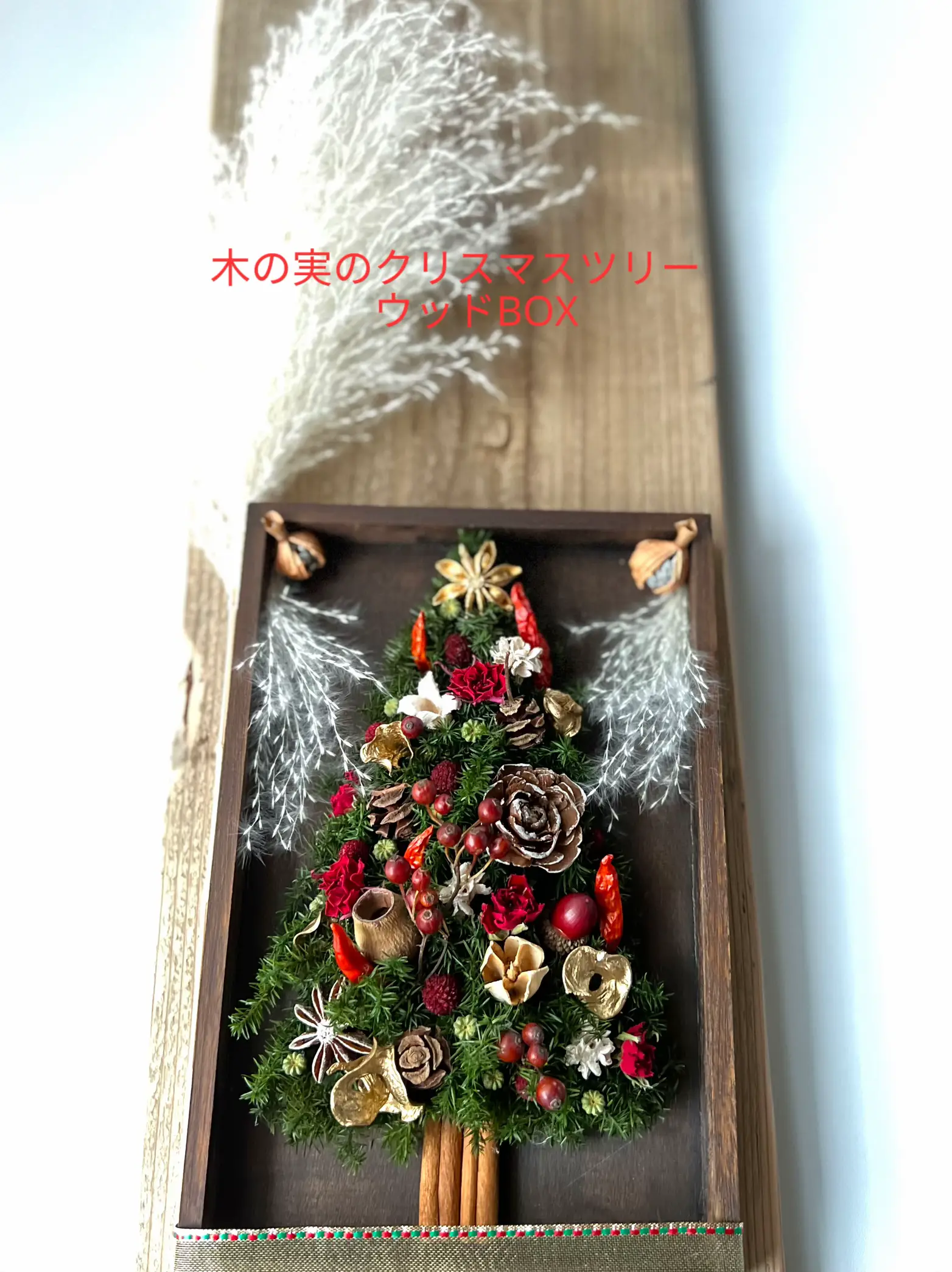木の実のクリスマスツリー ウッドBOX | fortuna_m.hが投稿したフォト ...