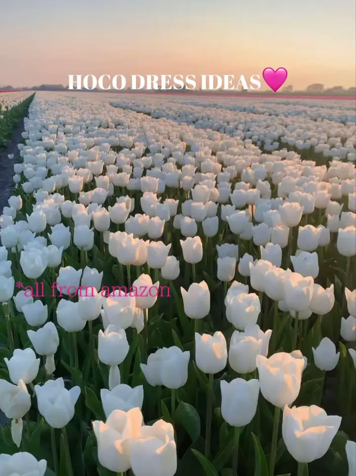 Sheer Lace Corset Tight Satin Party Dress – Lisposa