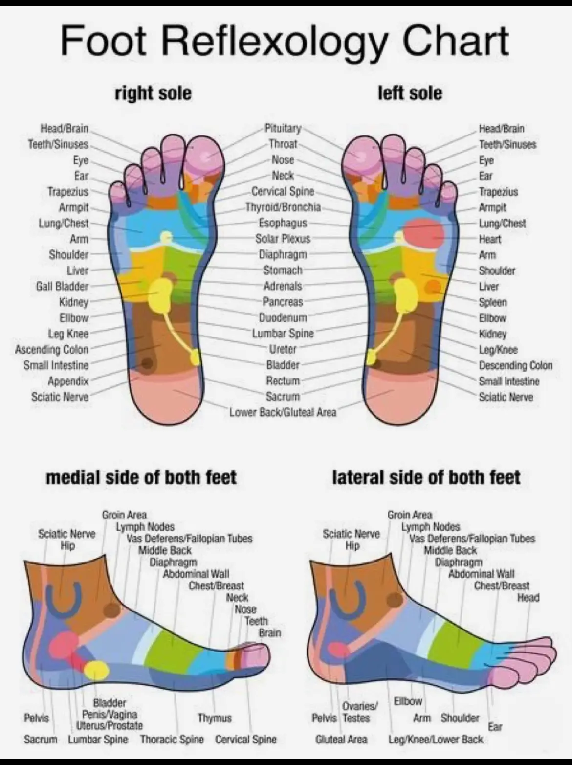 Reflexology for Stress and Tension Relief Lemon8 Search