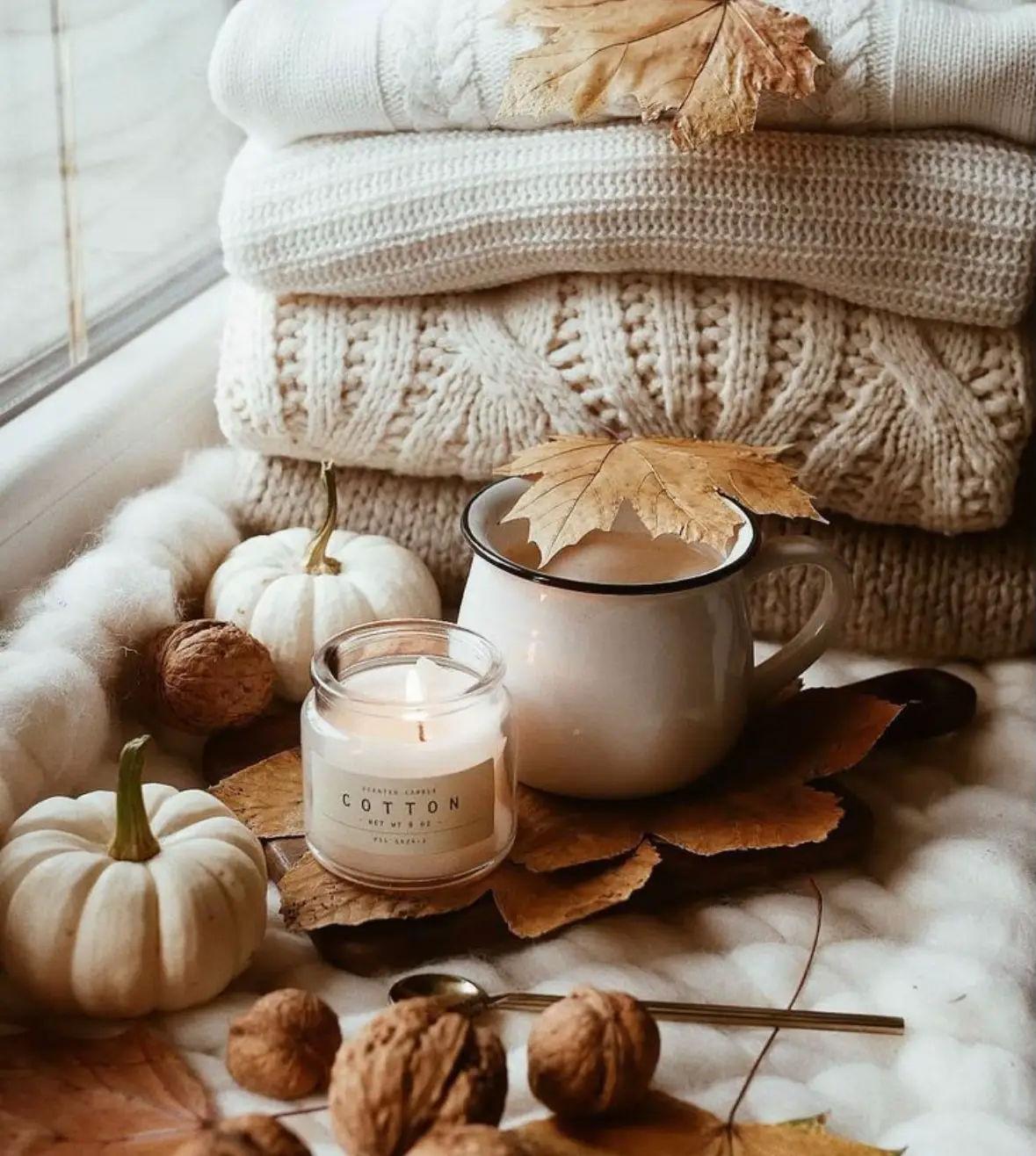 Fall Aesthetic 🍂🍁🌾 Love some cozy fall vibes, Gallery posted by Lexi  Reeder