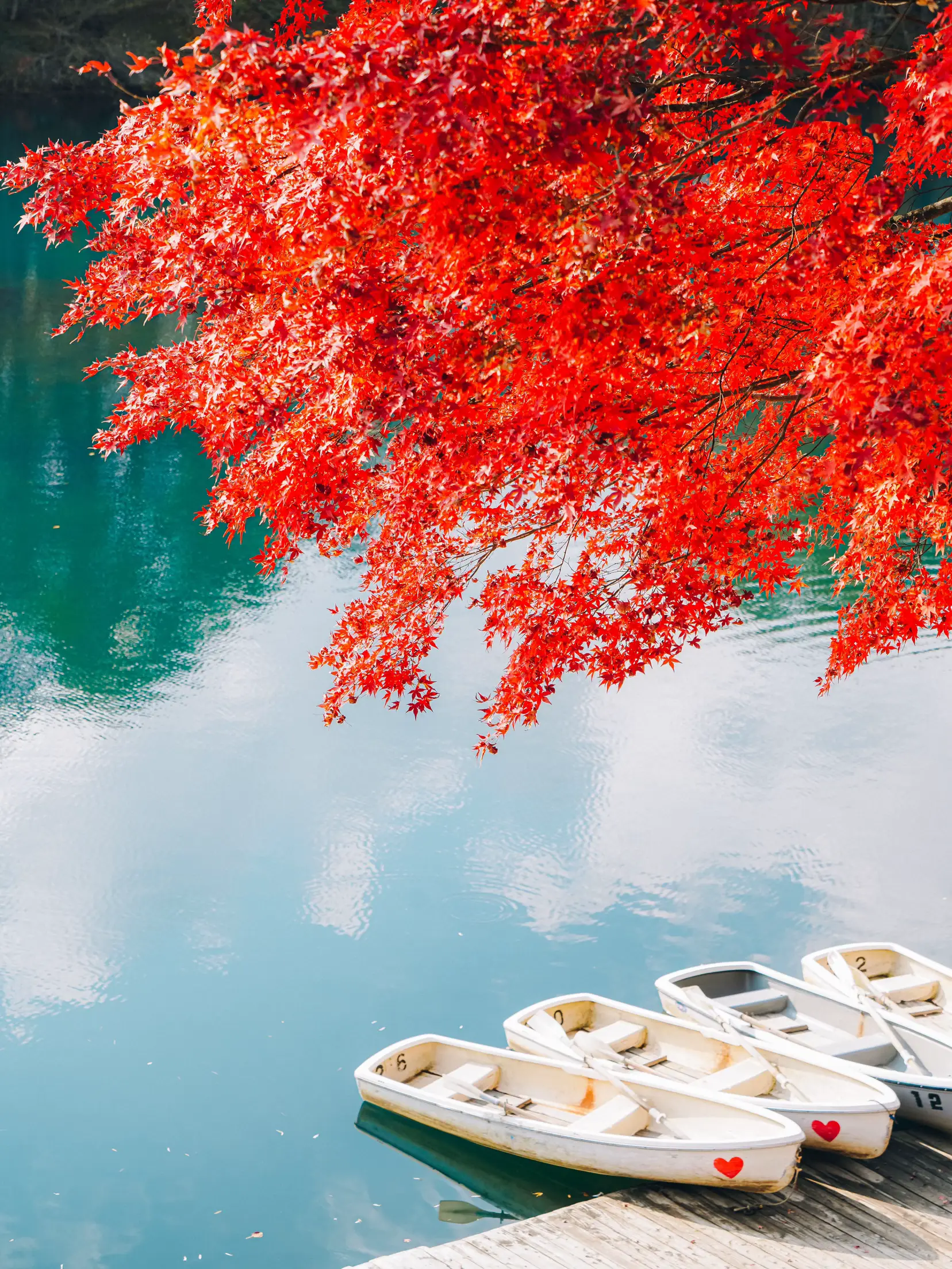 今が見頃🍁】湖面の青と紅葉の朱のコントラストが美しい神秘の湖沼