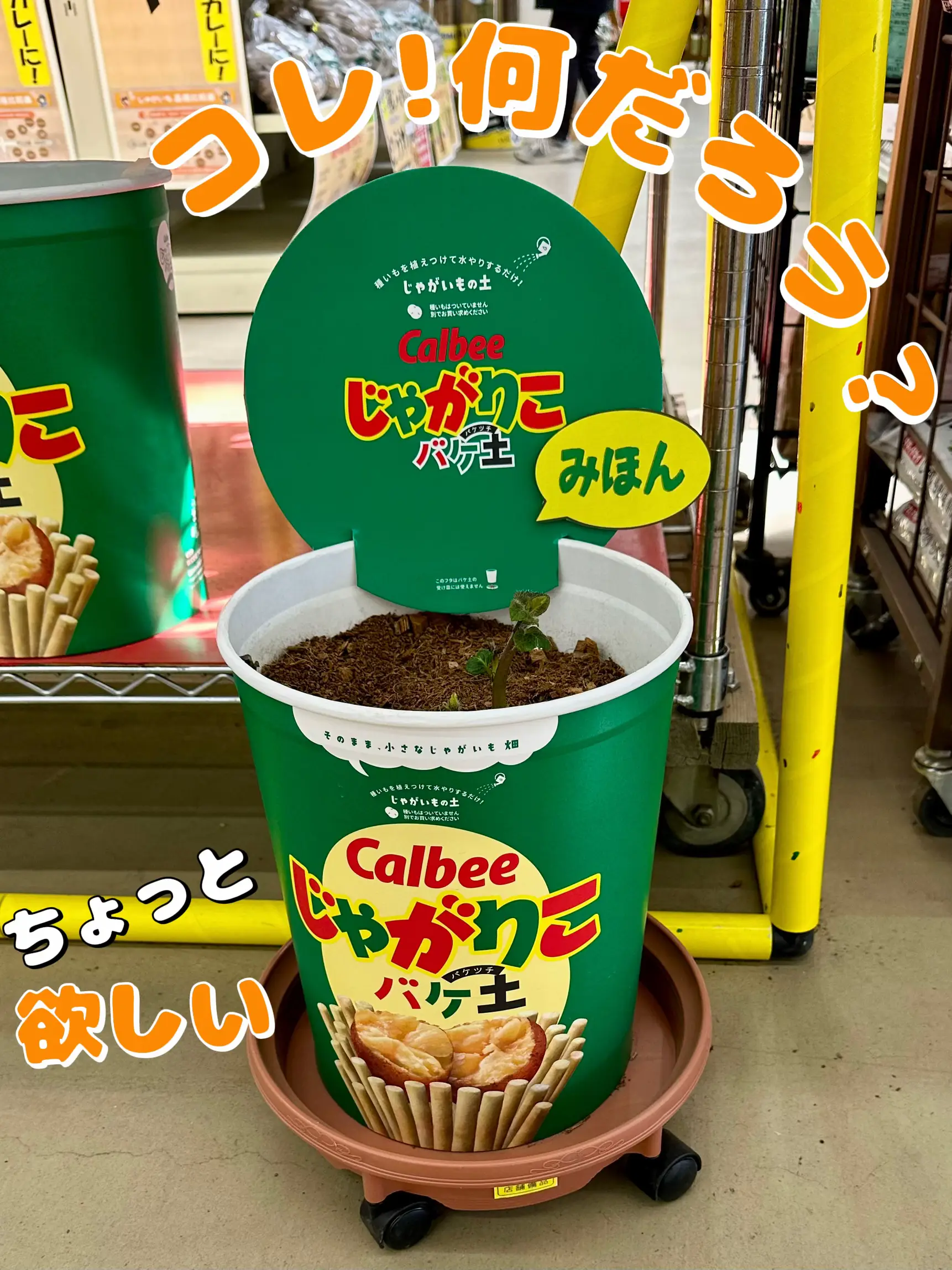 Calbee 1327点分