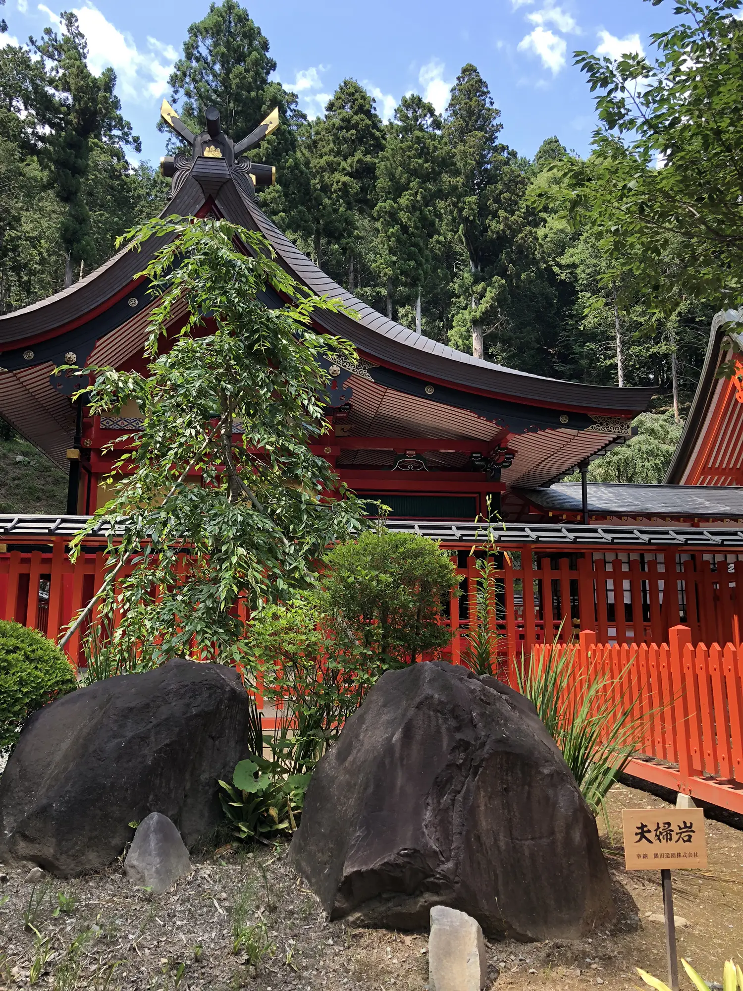 金櫻神社⛩金運パワスポ | まいまいが投稿したフォトブック | Lemon8