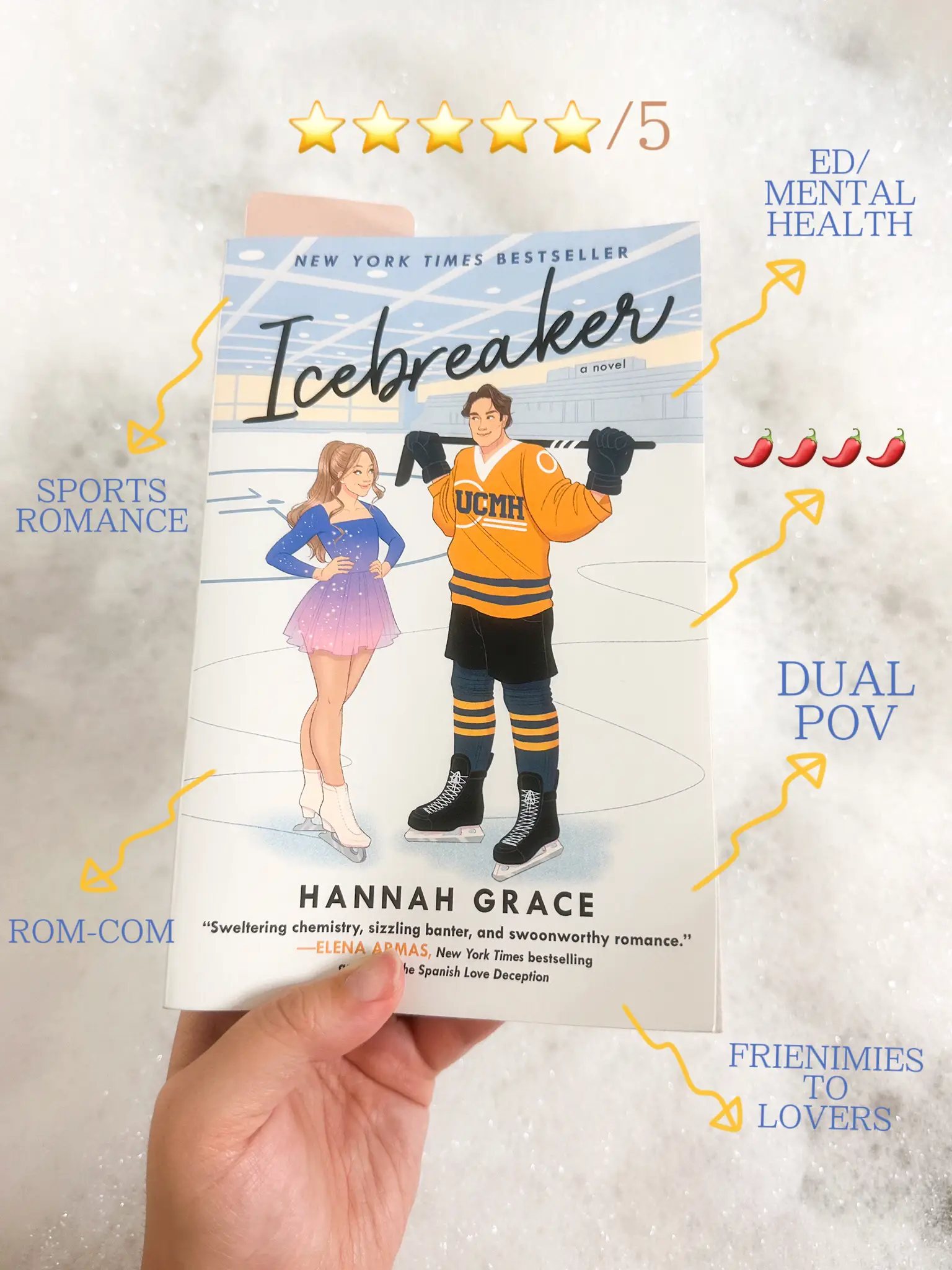 Icebreaker, Book by Hannah Grace