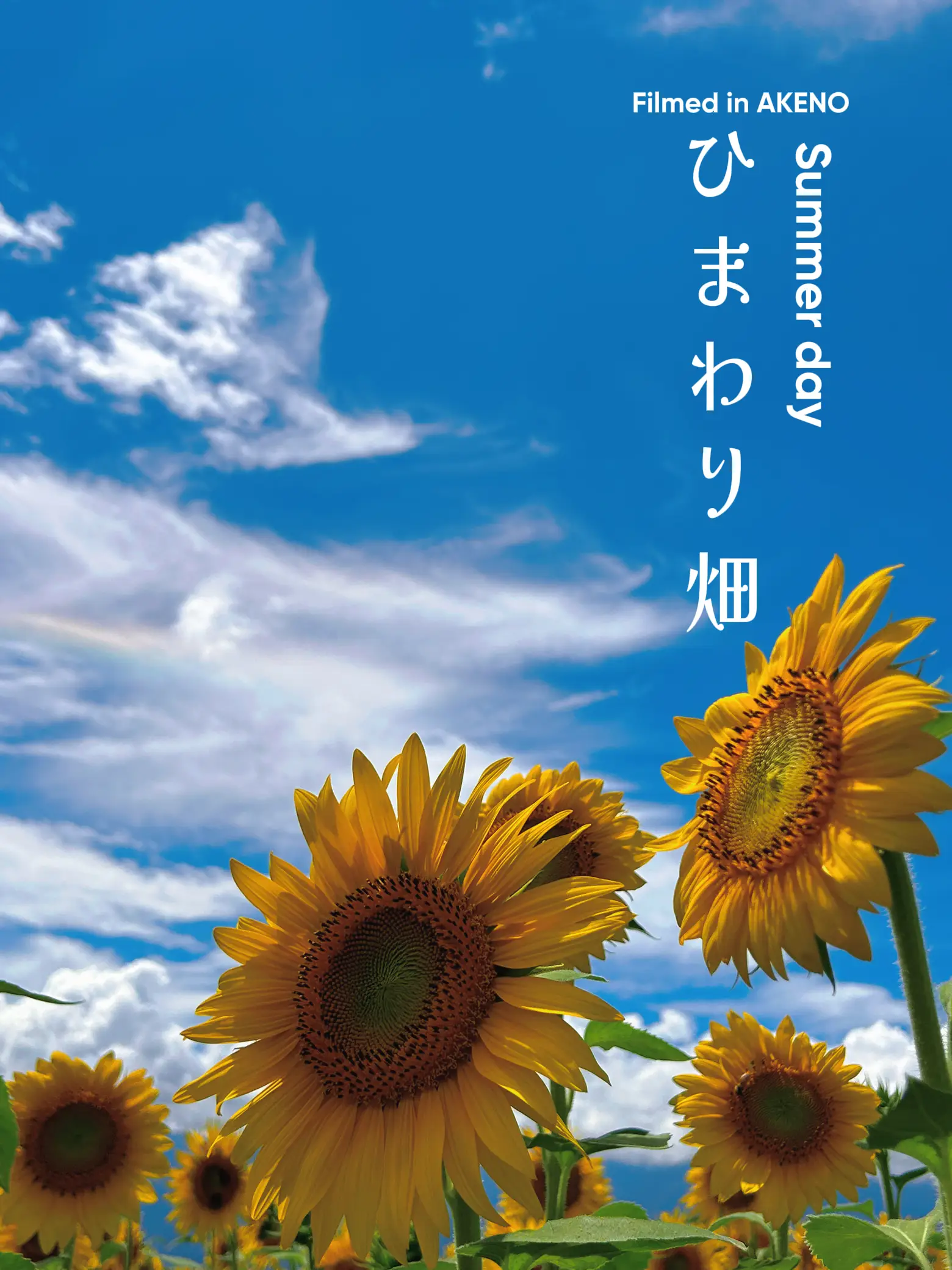 ビタミンチャージ🌻ひまわり畑を見に行こう！ | sky happiness 8が投稿