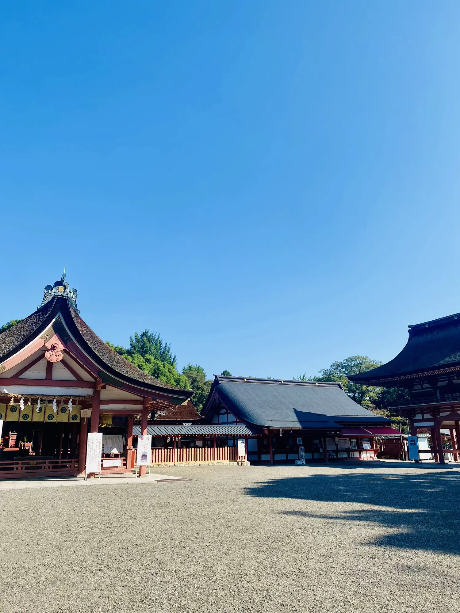 愛知】津島市 朔日限定100枚津島神社♡ 秋の御朱印♡ | ぴこ(｡☌︎ᴗ☌︎｡)❤︎が投稿したフォトブック | Lemon8