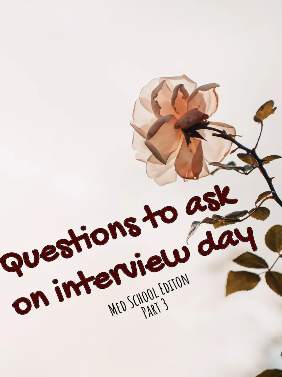 part-3-questions-to-ask-on-interview-day-gallery-posted-by-em