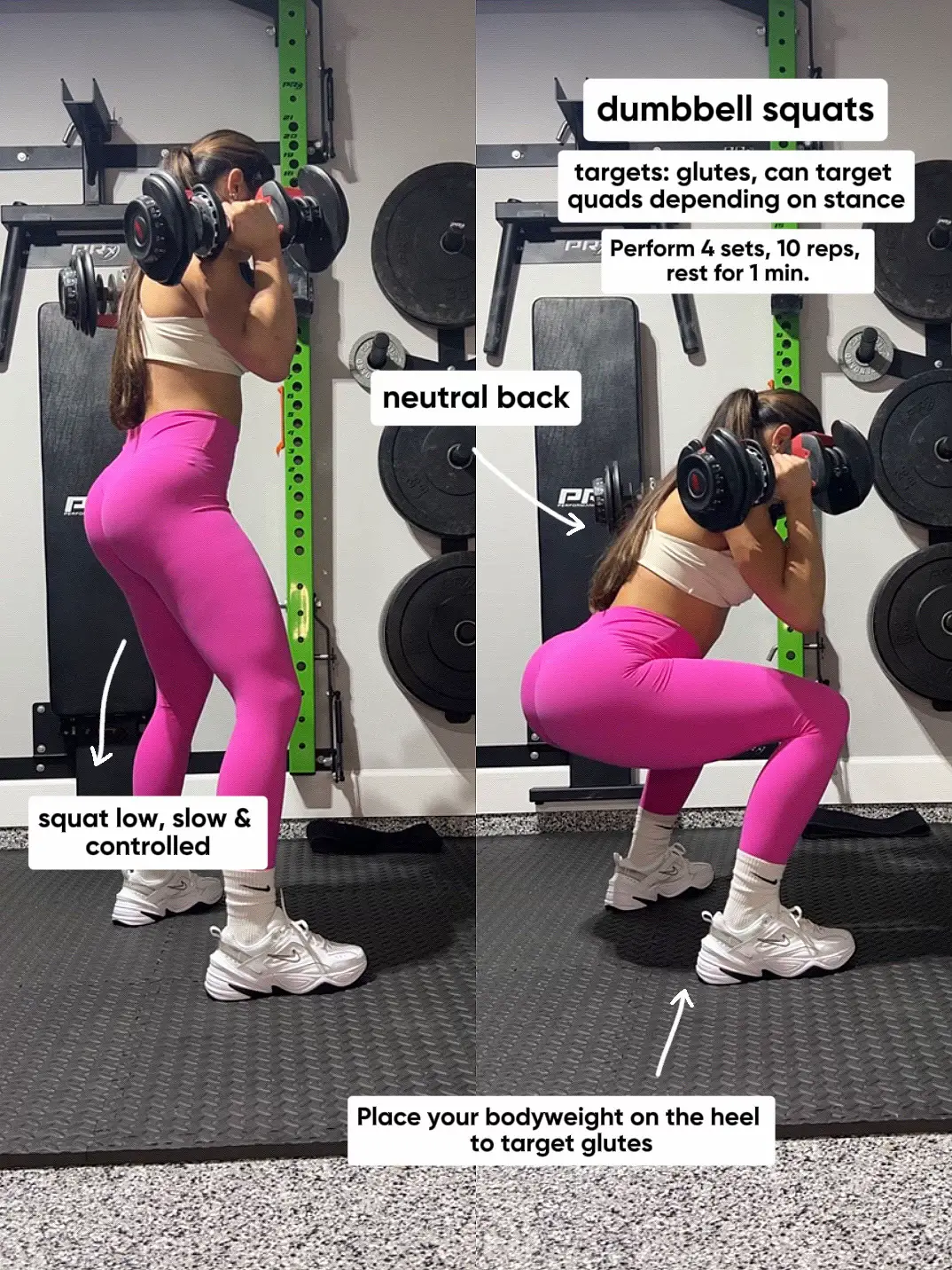 Sissy Squats – WorkoutLabs Exercise Guide