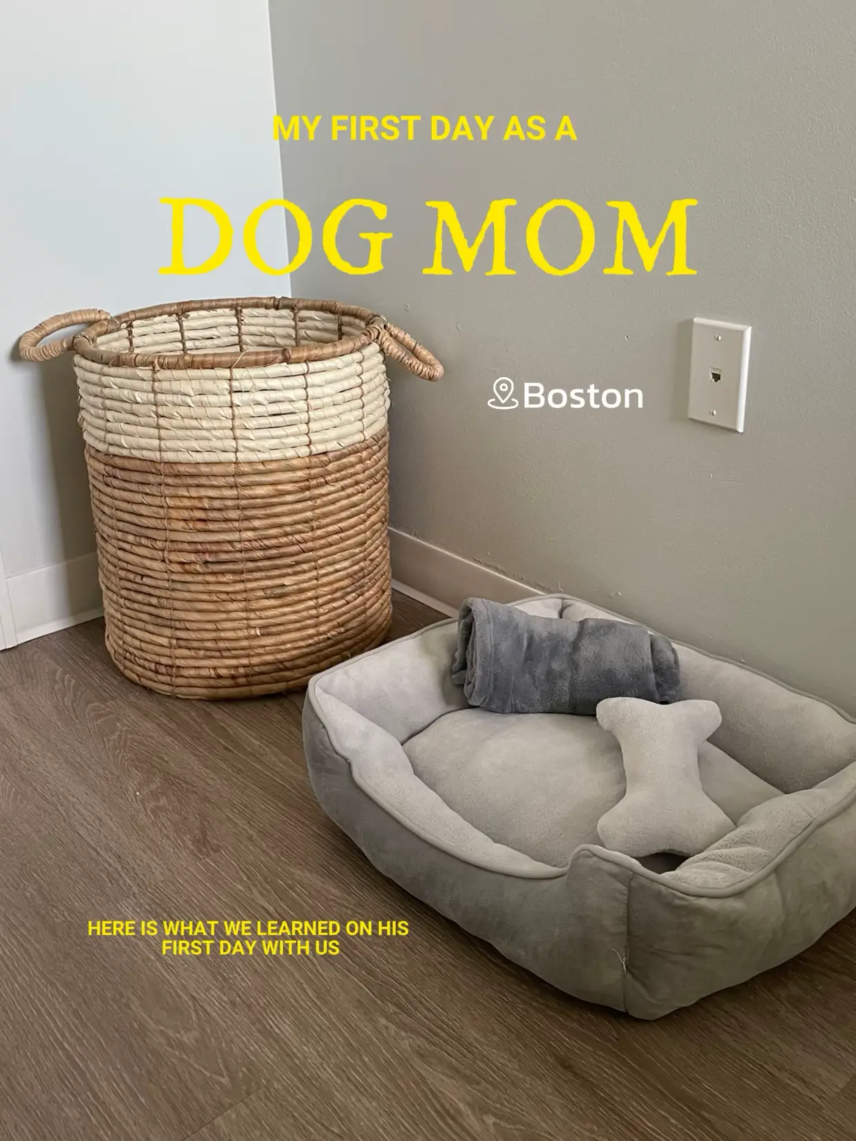 My First Day As a Dog Mom Gallery posted by Yeraz Bozuklu Lemon8