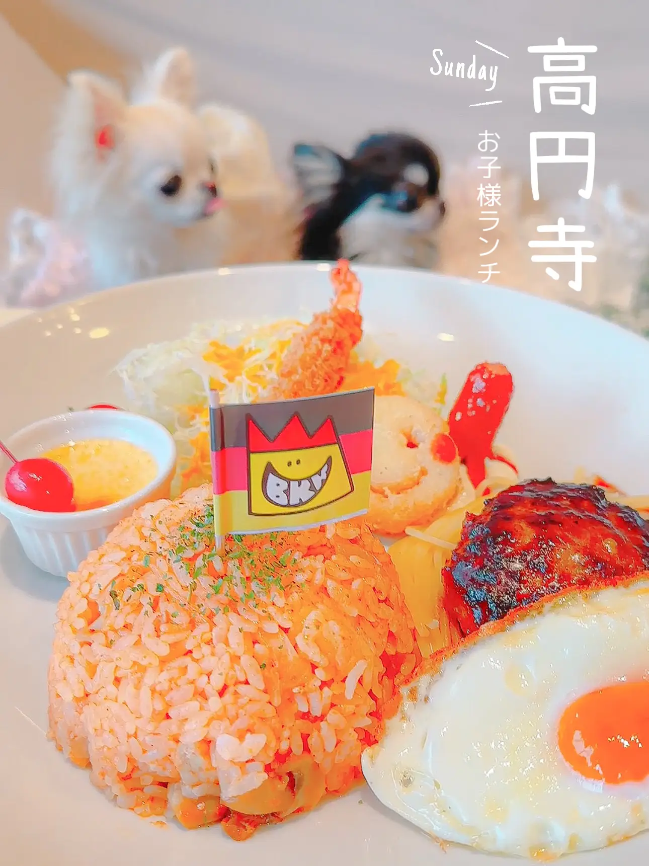 わんことお子様ランチ【高円寺】 | みぽが投稿したフォトブック | Lemon8