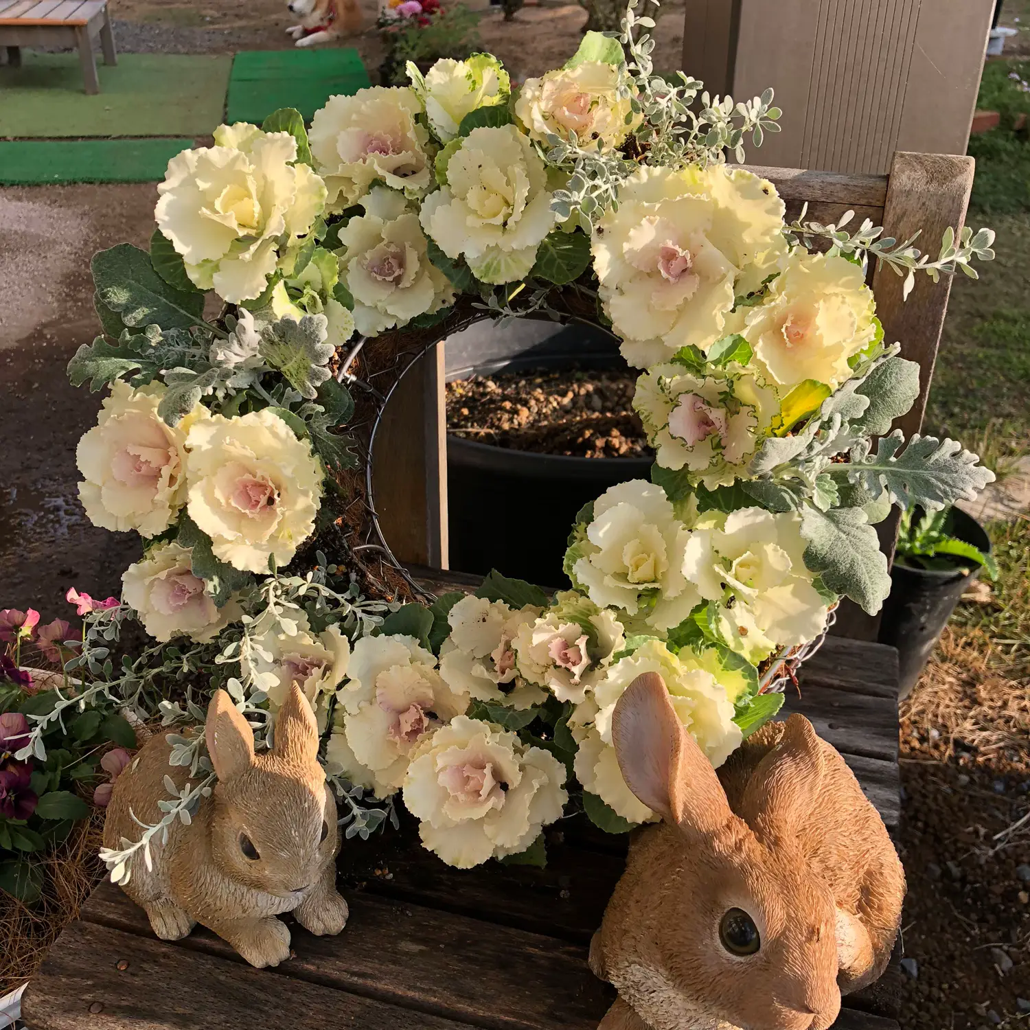 ドライフラワー スマホリング.アリッサムリース アリッサム | STORES ドライフラワー スマホリング.アリッサムリース アリッサム | STORES