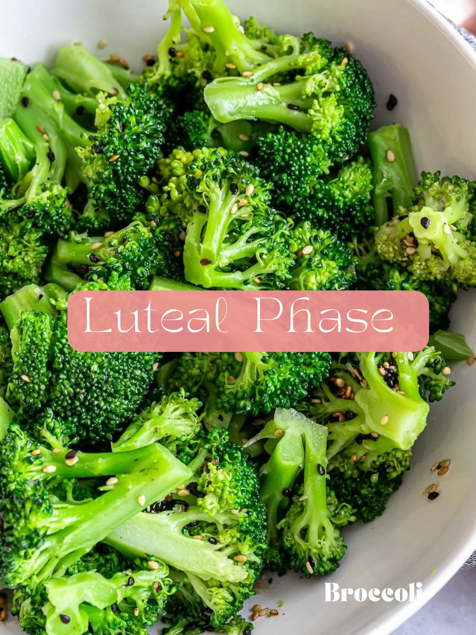 Cycle Syncing in the Luteal Phase  Workout and Food Ideas - Hollye Makes a  Home