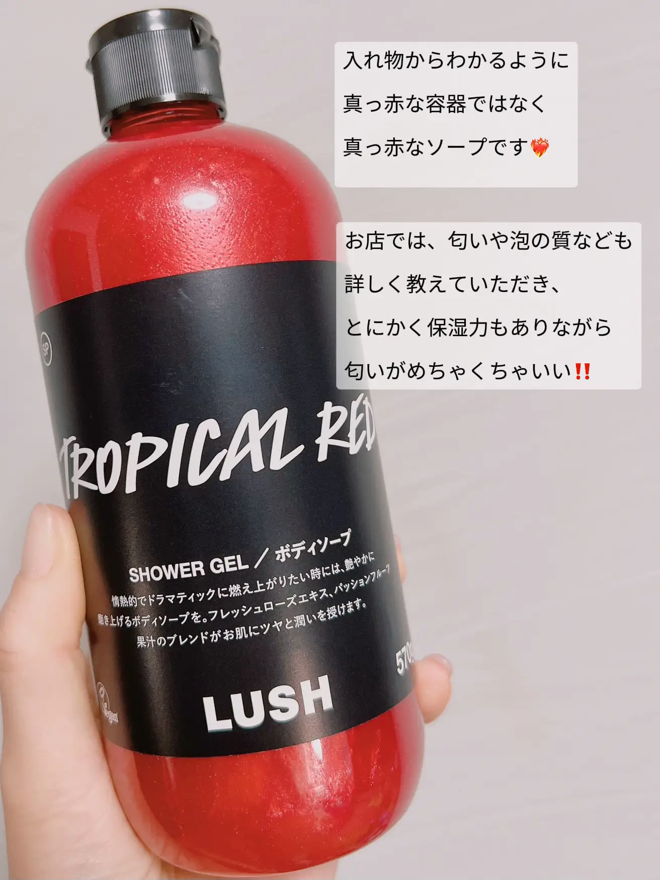 LUSH ヨッグノッグ ボディソープ