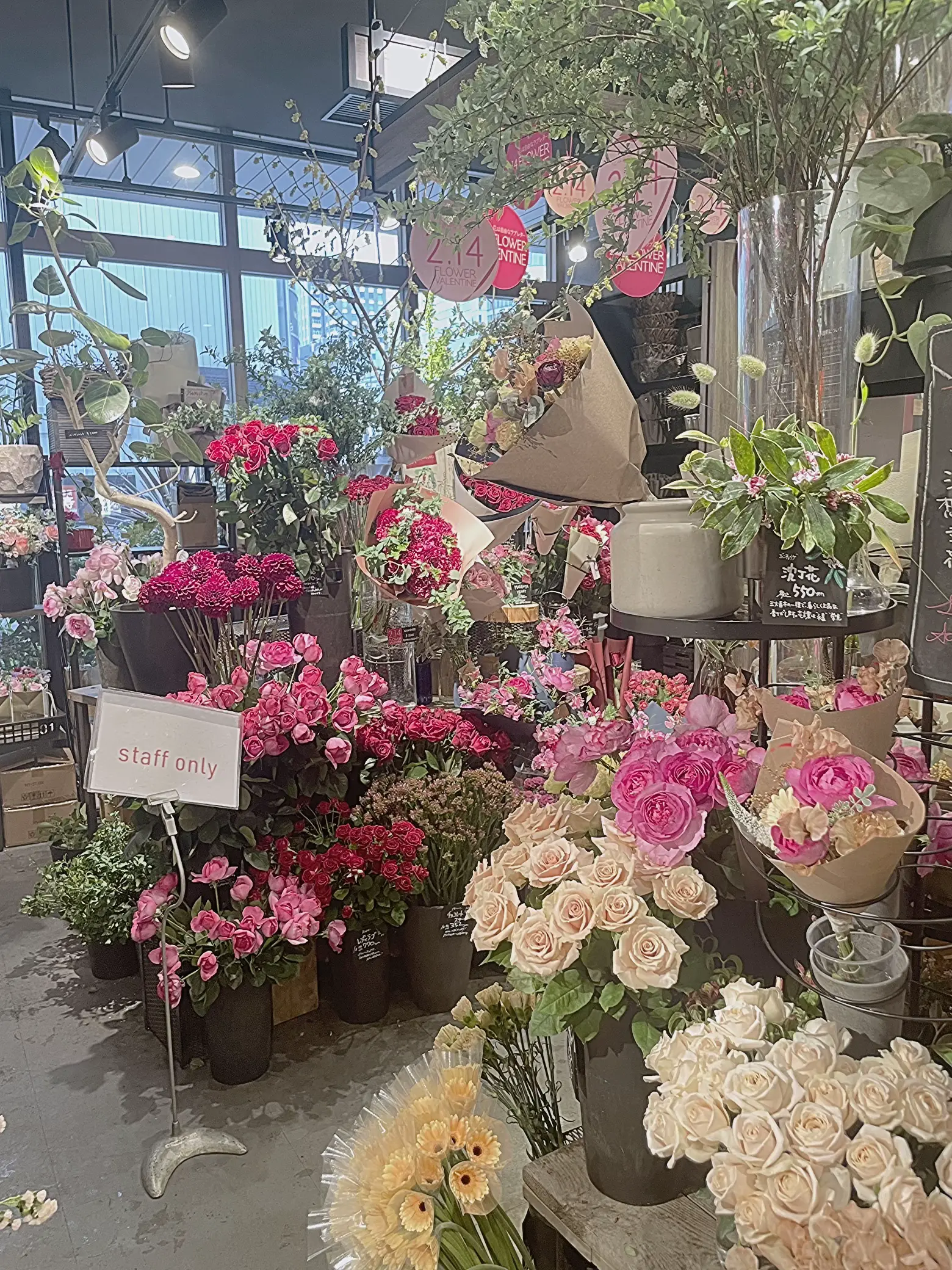 🌷Aoyama Flower Market✨- | Gallery posted by ラックりん