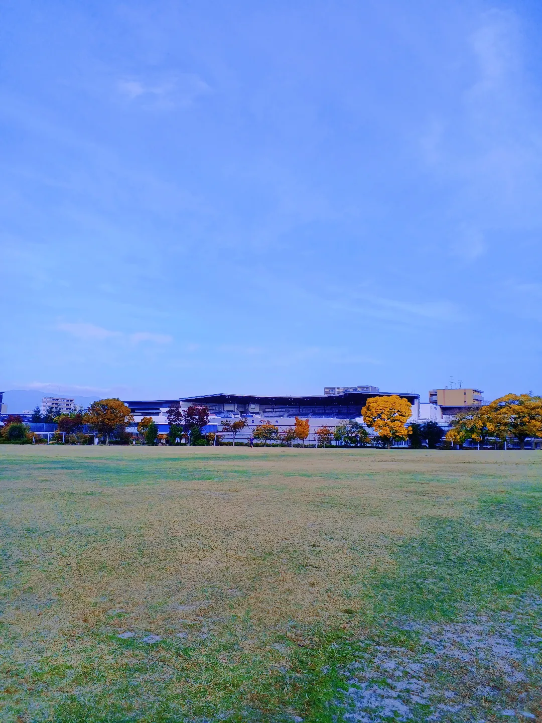 【京都ぶらり】2023年 秋京都 梅小路公園紅葉の画像 (2枚目)