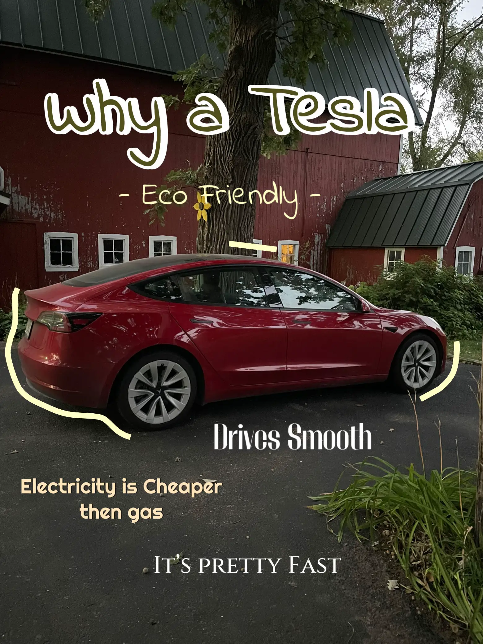 Tesla 2024 eco friendly