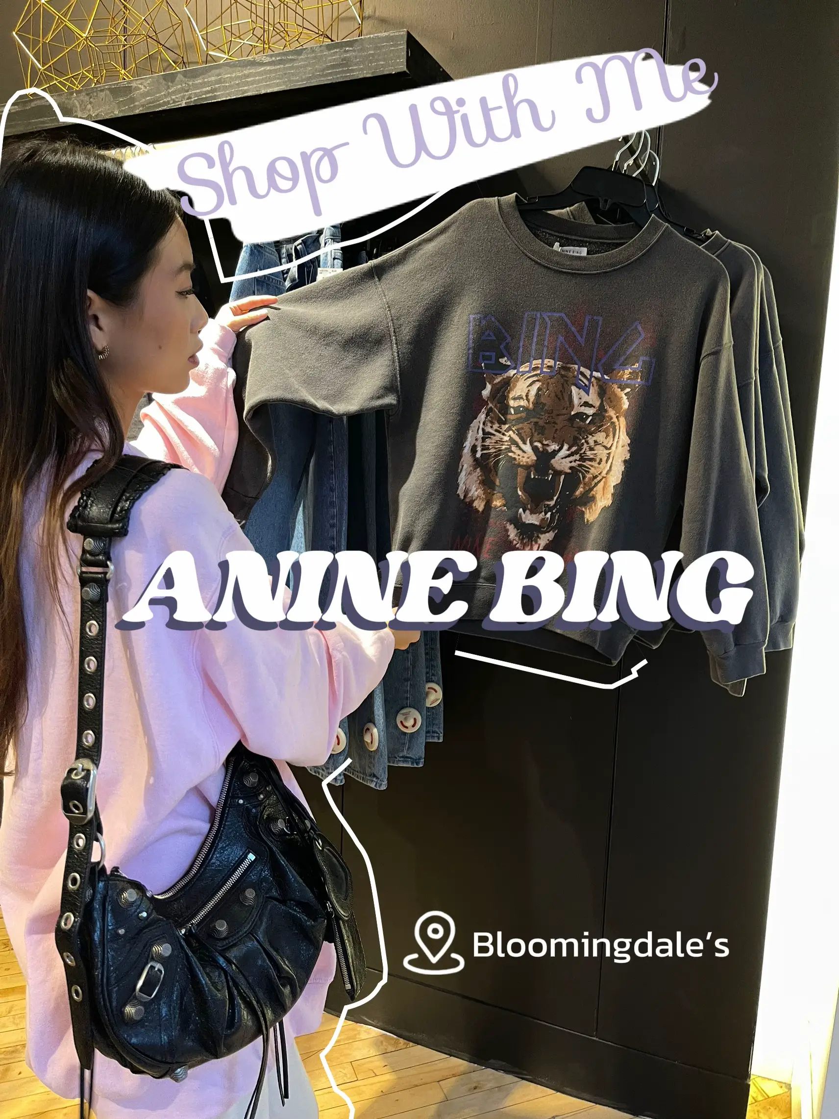 Is the Anine Bing Harvey Hoodie worth it?