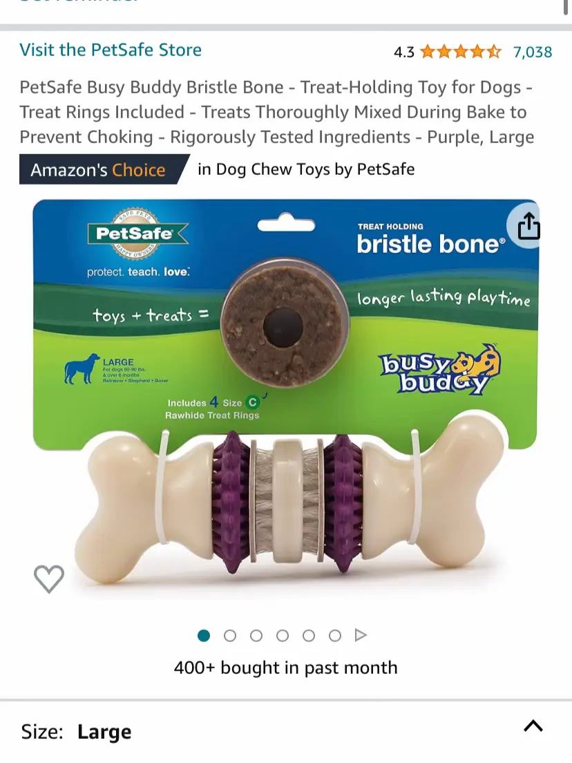 PetSafe Busy Buddy Bristle Bone - Treat-Holding Toy for Dogs - Treat Rings  Included - Treats Thoroughly Mixed During Bake to Prevent Choking 