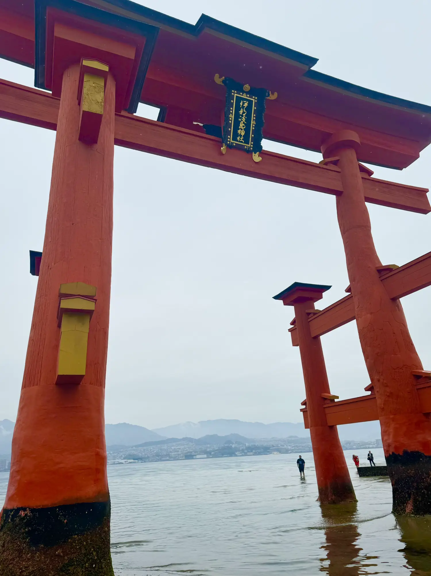 宮島の鳥居⛩️見上げてみました💗 | masafumiが投稿したフォトブック | Lemon8