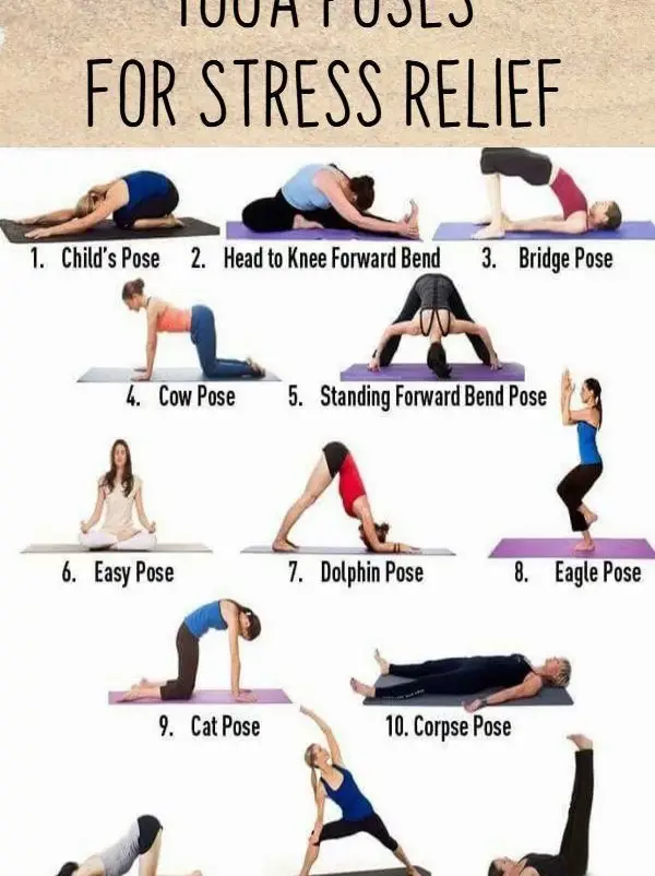 20 top Daily Yoga Stretch Routine ideas in 2024