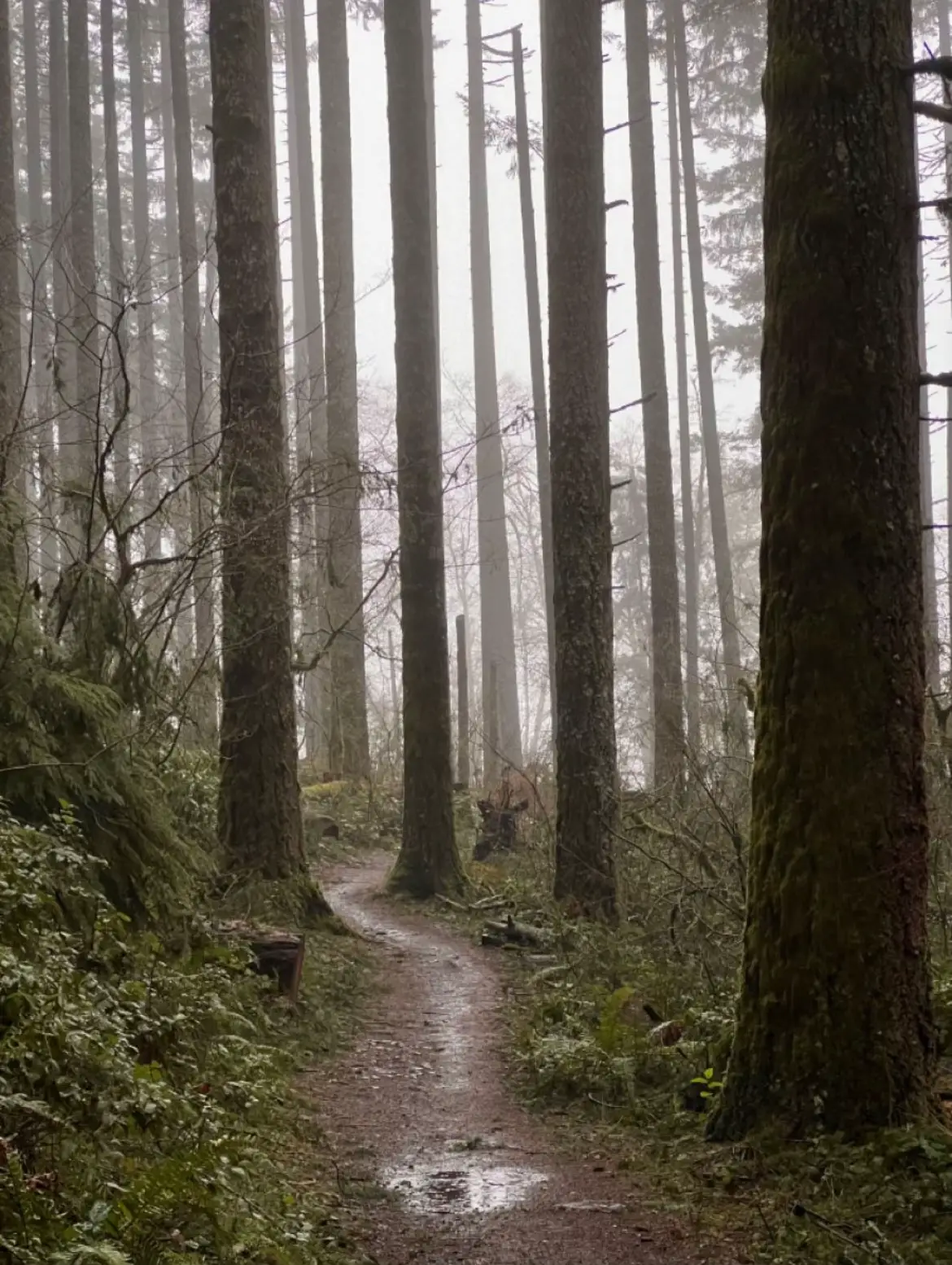 Athletics Motion on Instagram: 🍂🌲 Fall Calls for Hiking