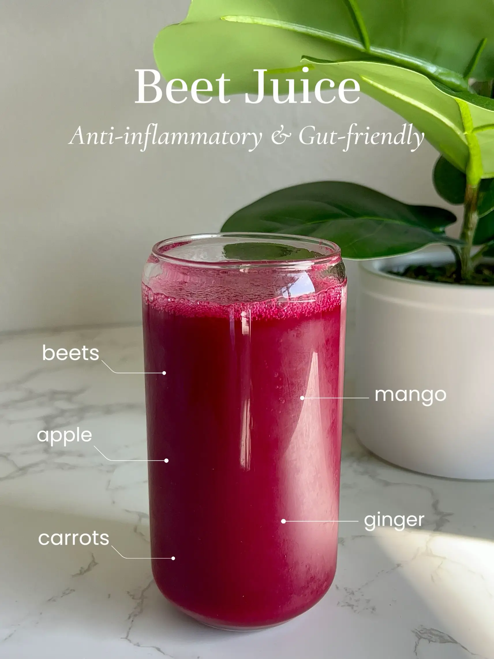 Healthy Juices to Make at Home Gallery posted by Michelle G. Lemon8