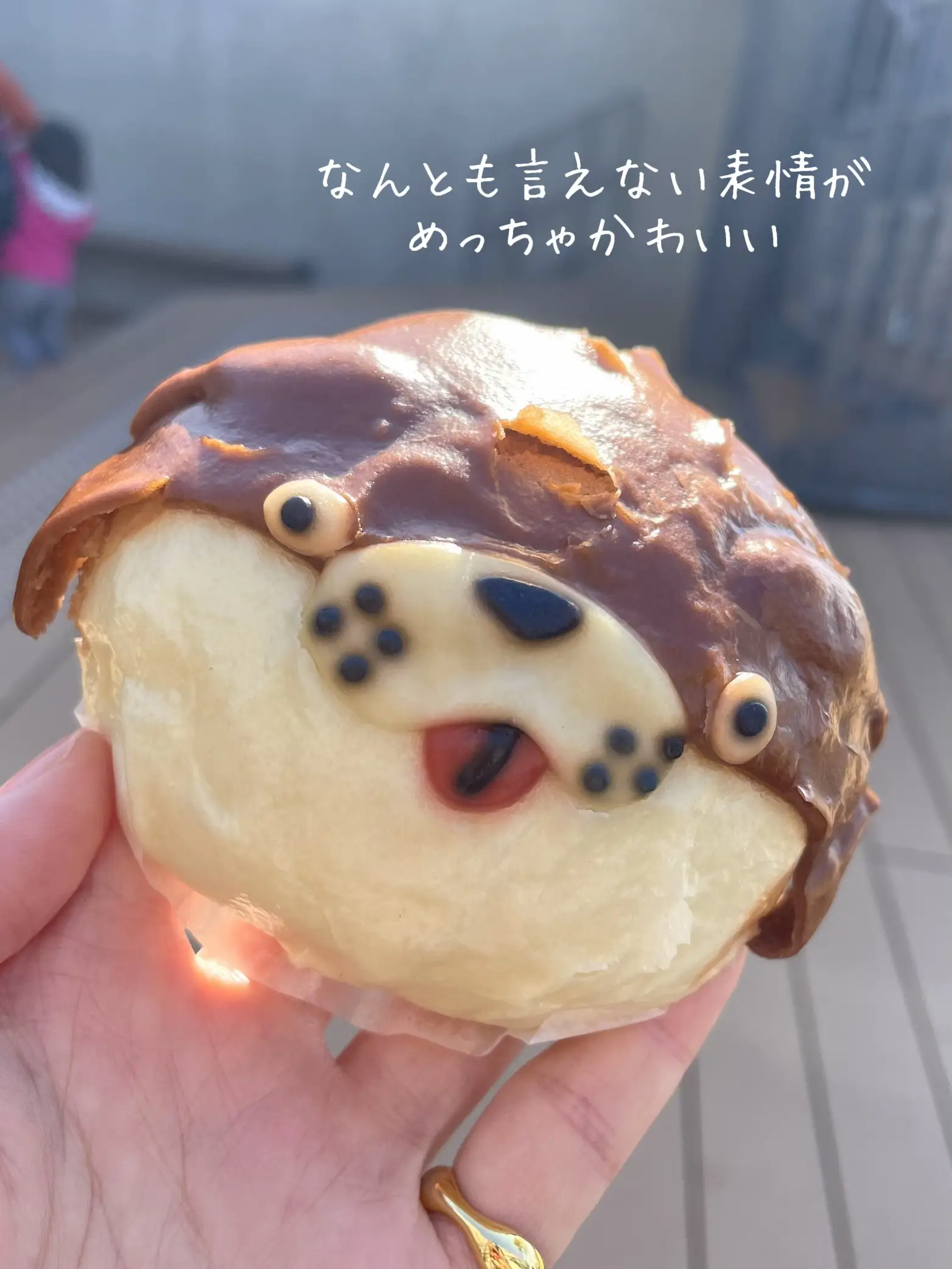 カワウソにチョコたっぷり?【神戸カフェ＊atoa cafe】 | まんぷくねこ 