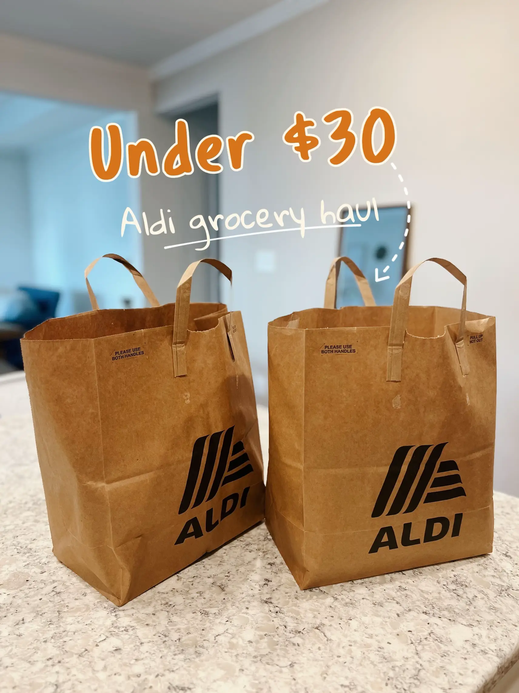 Aldi reusable store shopping bags