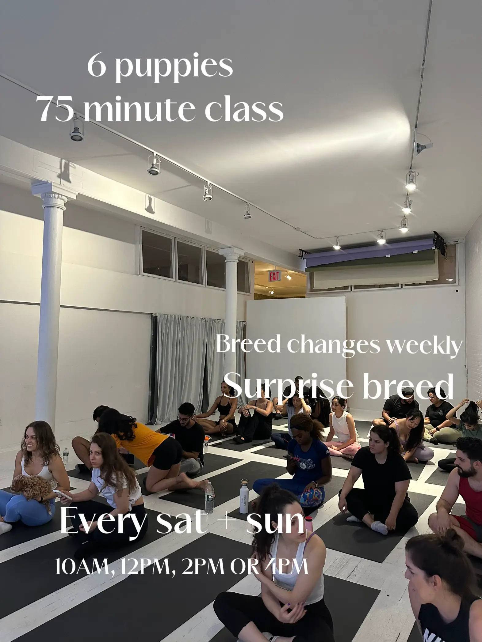 Find your zen with our weekly yoga schedule 🧘‍♀️ #yoga