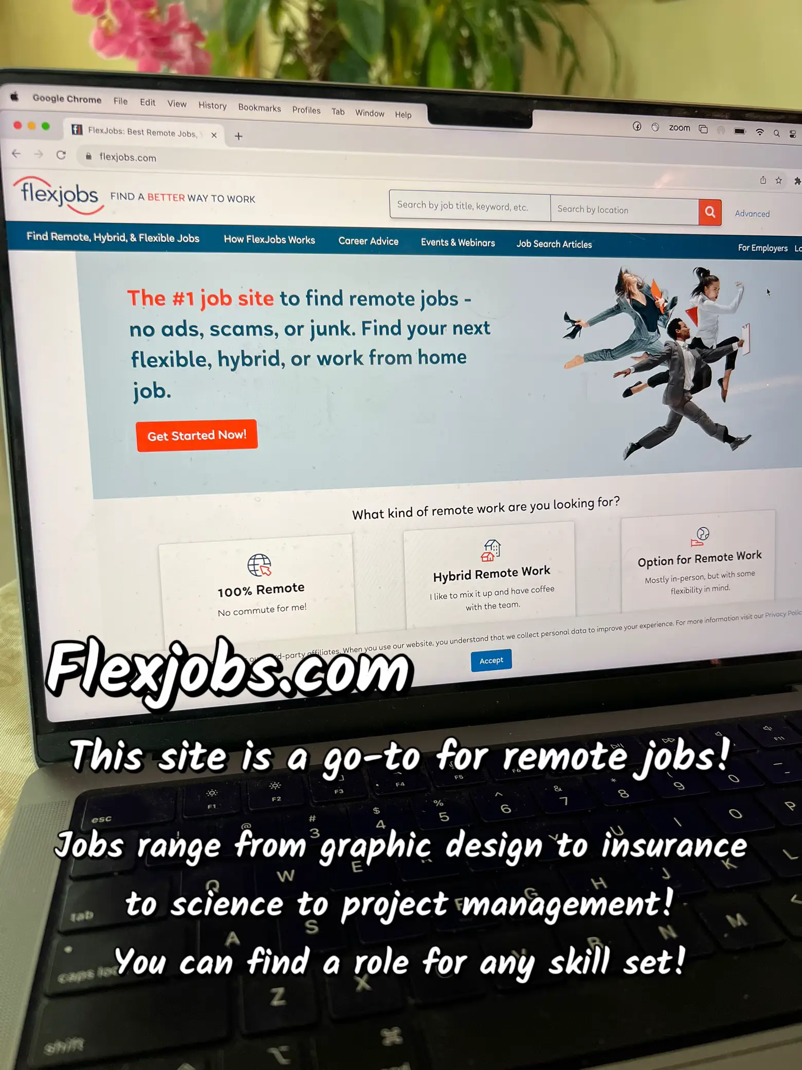 Find a remote job and start your new career today! | Gallery posted by  Delara 💖👩🏻‍💻 | Lemon8