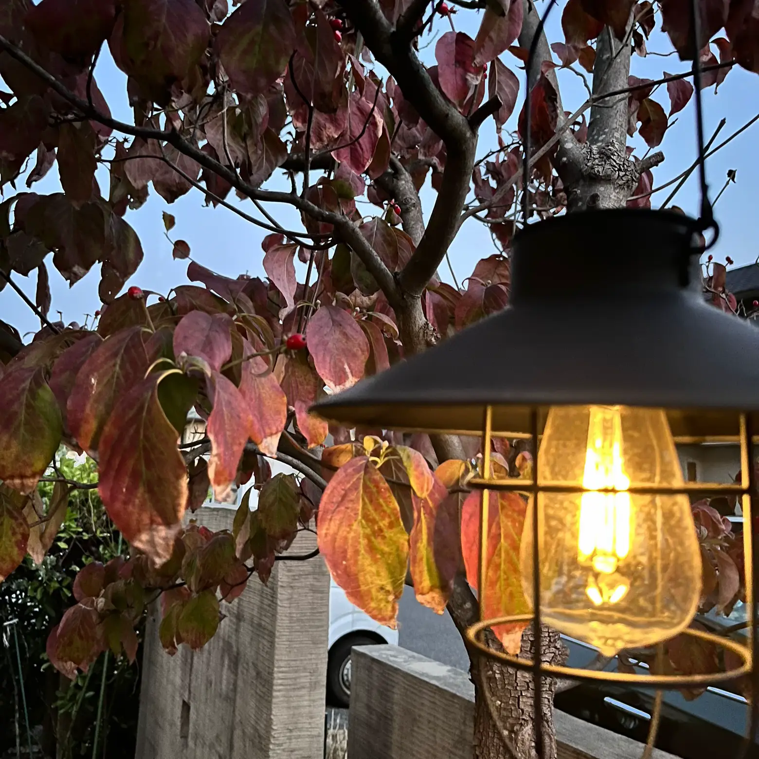 秋色 お庭のランプ 紅葉 ソーラーランプ アンティーク | atsuが投稿したフォトブック | Lemon8