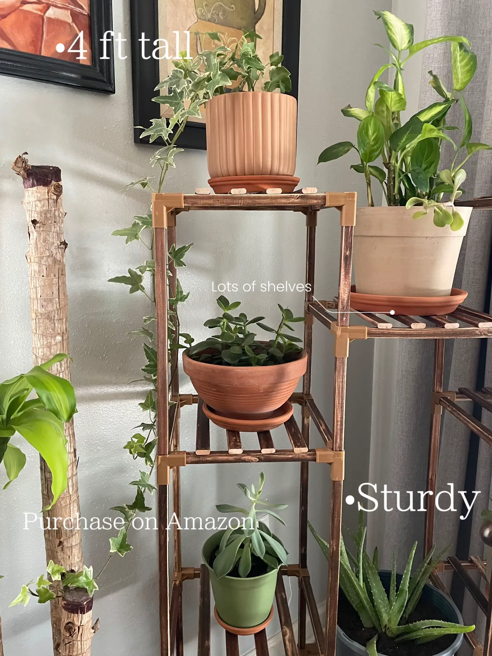 Hanging Shelves 3 Tier Hanging Plant Shelf Boho Farmhouse - Temu