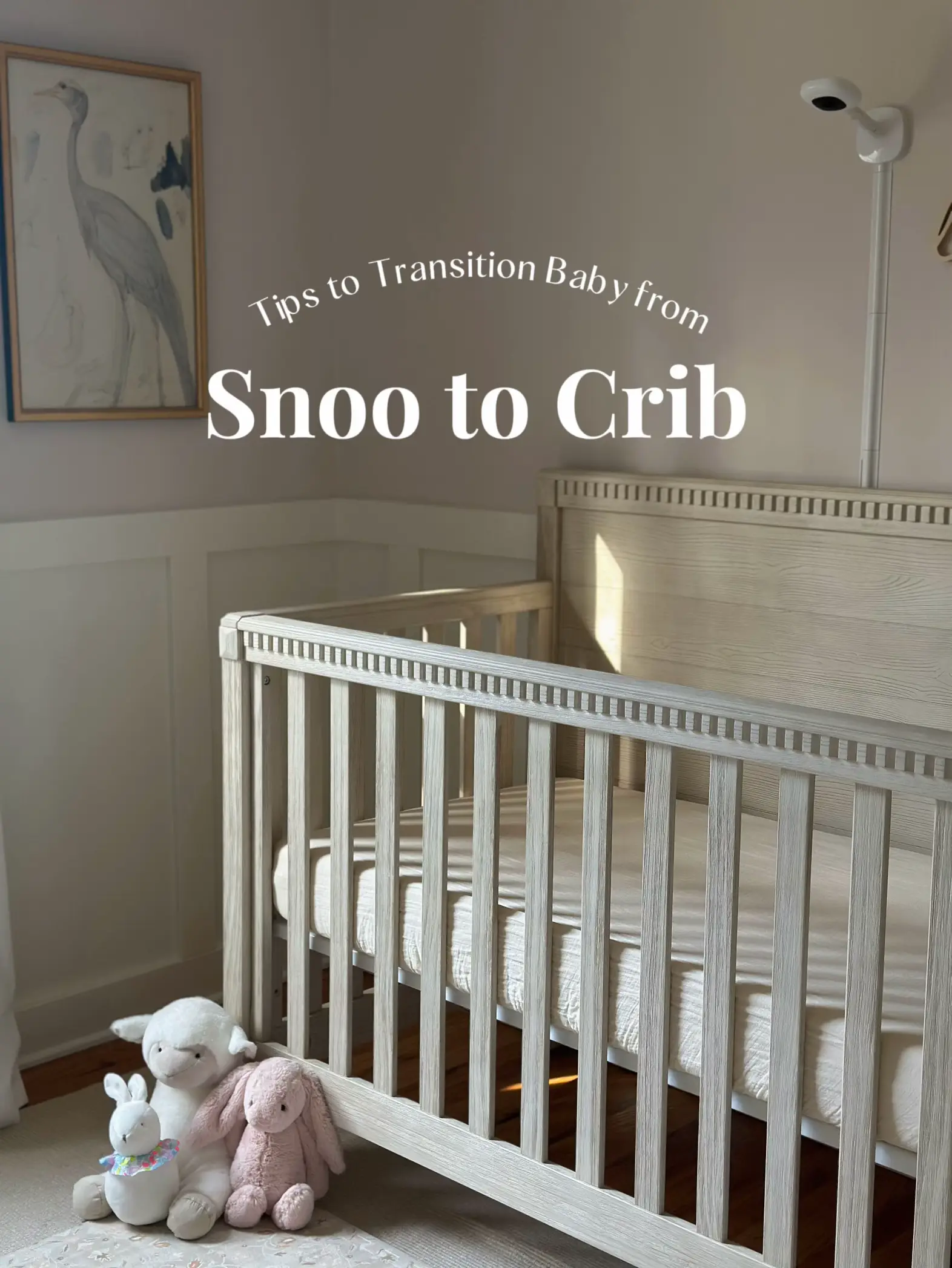 Transitioning from outlet snoo to crib