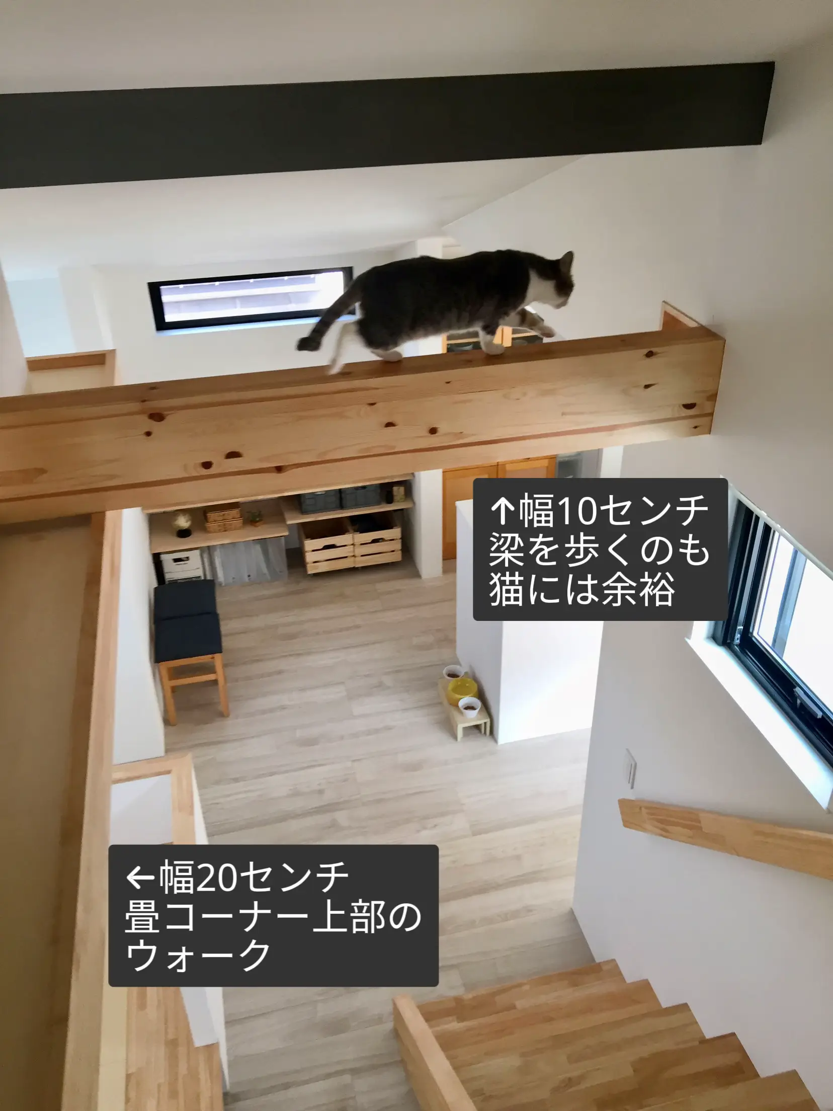 家の構造を活かしたキャットウォーク🐾 | Sora /猫との住まいづくりが