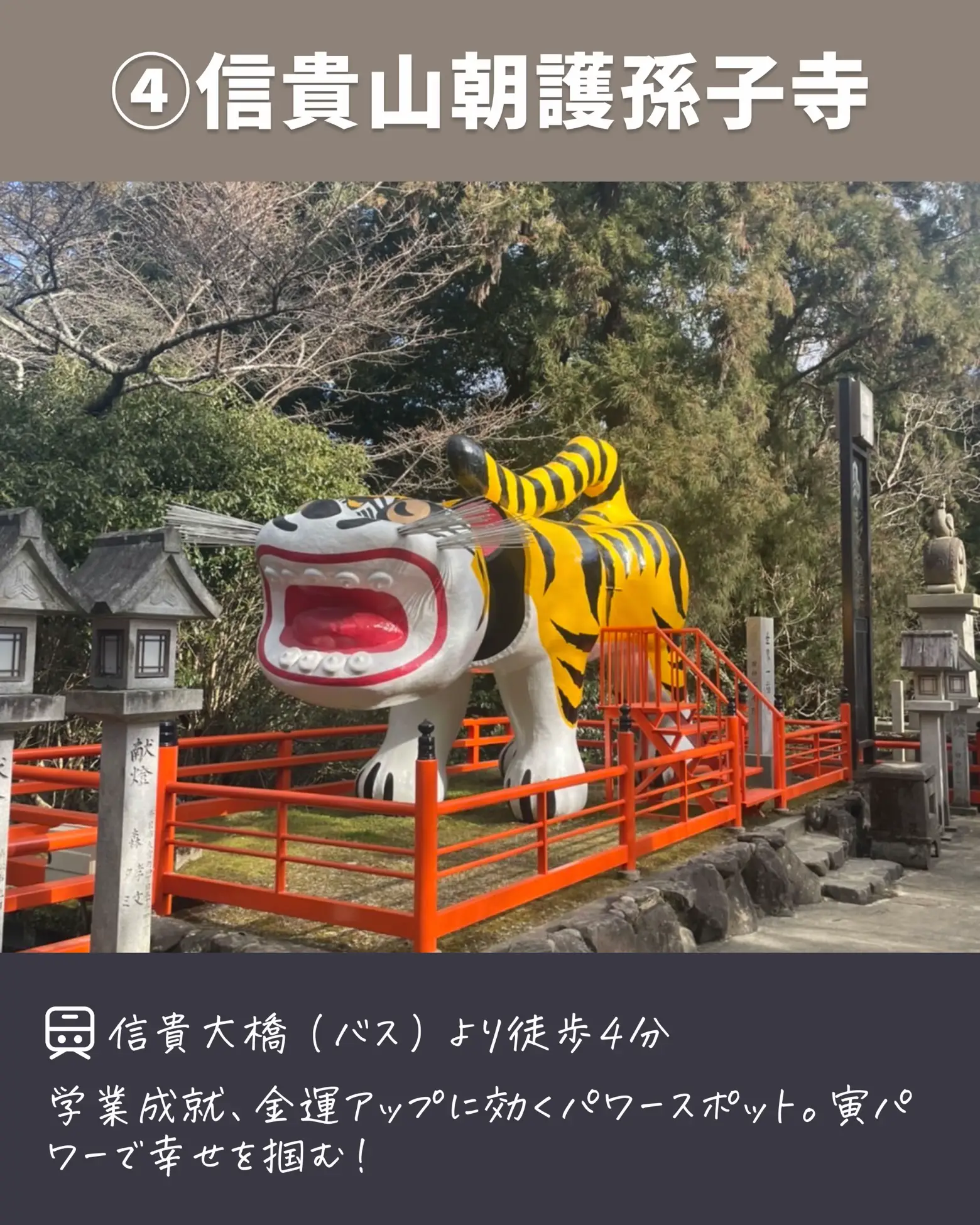 総本山信貴山❤️終寅日豪華限定8点セット 総本山信貴山❤️初寅日限定豪華8点セット