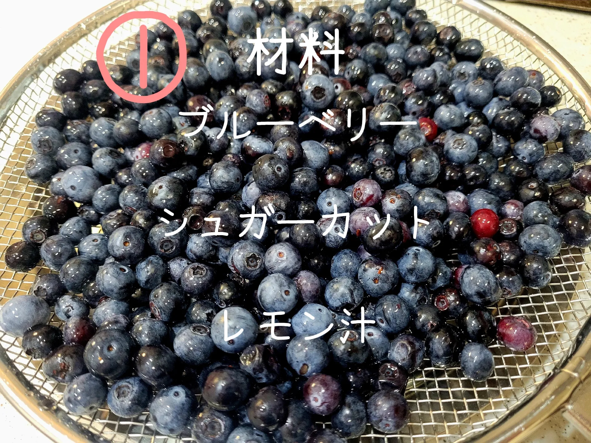 ジューンベリー 種30粒とオマケの種 （アリス・ファーム 宇土