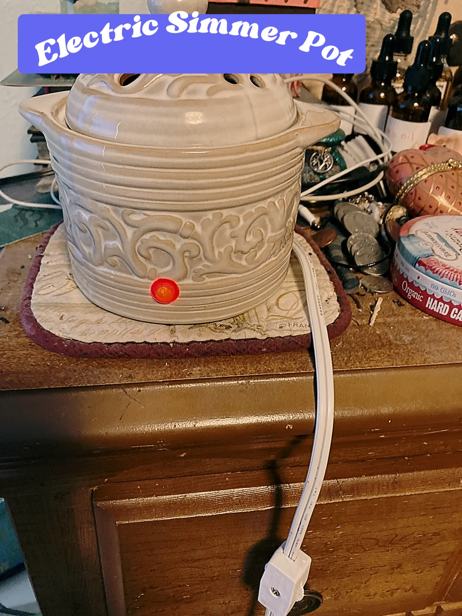 Electric Simmer Pot, Gallery posted by ThatLazyWitch