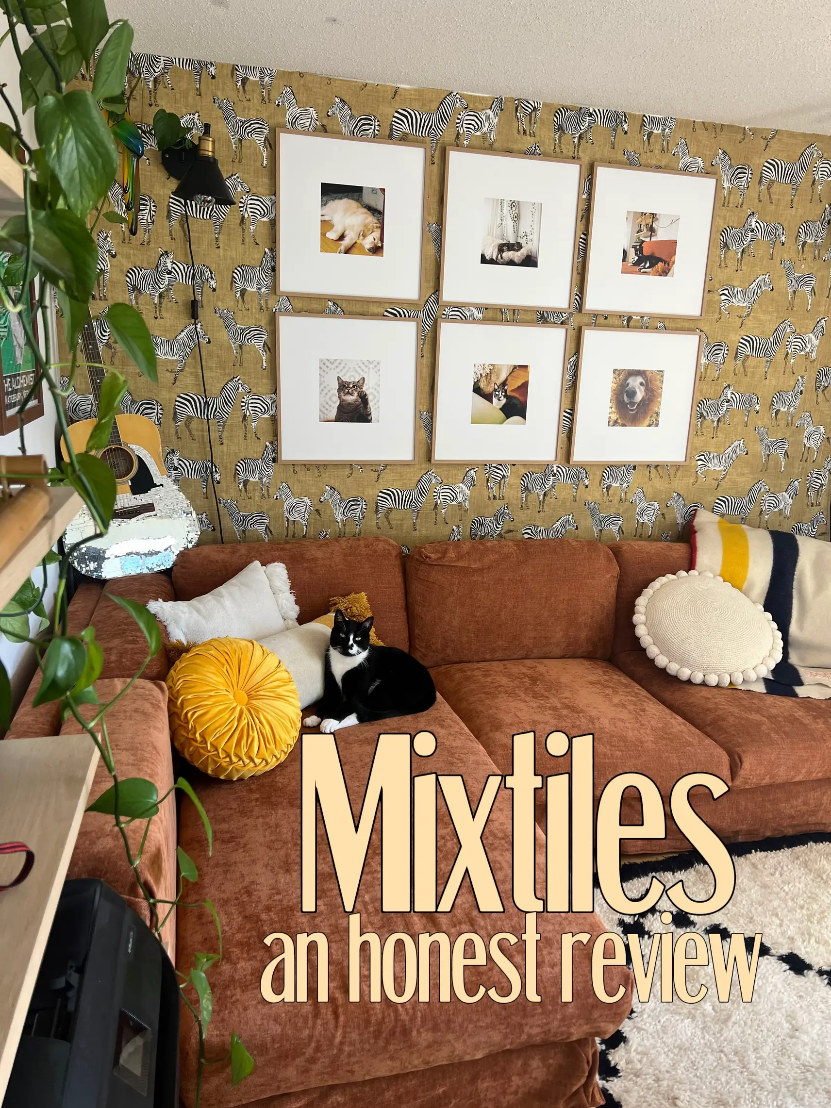 Mixtiles! Has anyone used? I wanted a gallery wall but wanted it