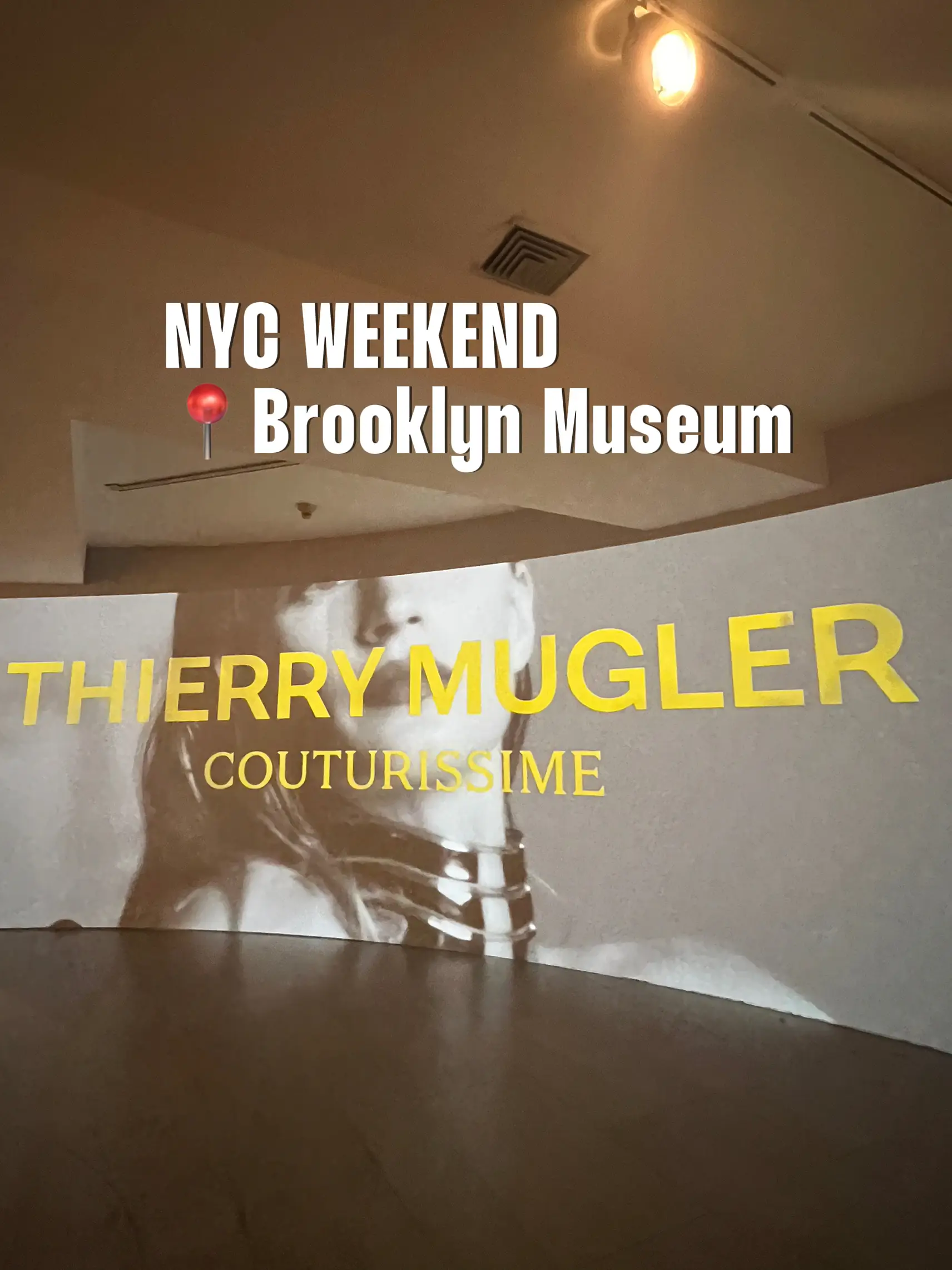 NYC Fun Weekend Idea: Brooklyn Museum 😍, Gallery posted by Stephanie 🤍