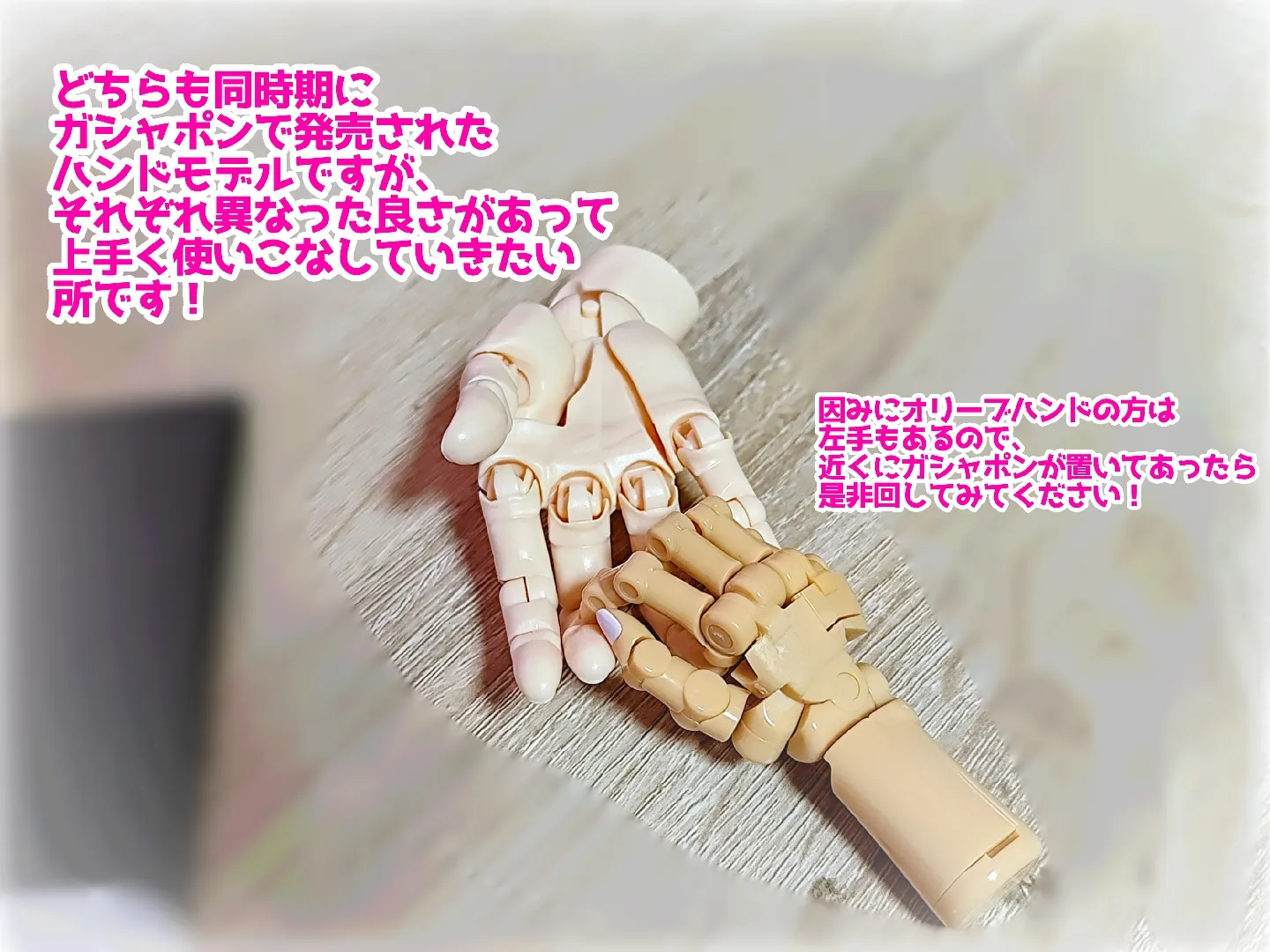 写真】大事なイラスト資料「ハンドモデル」【2025/02/14】 | みかわが 