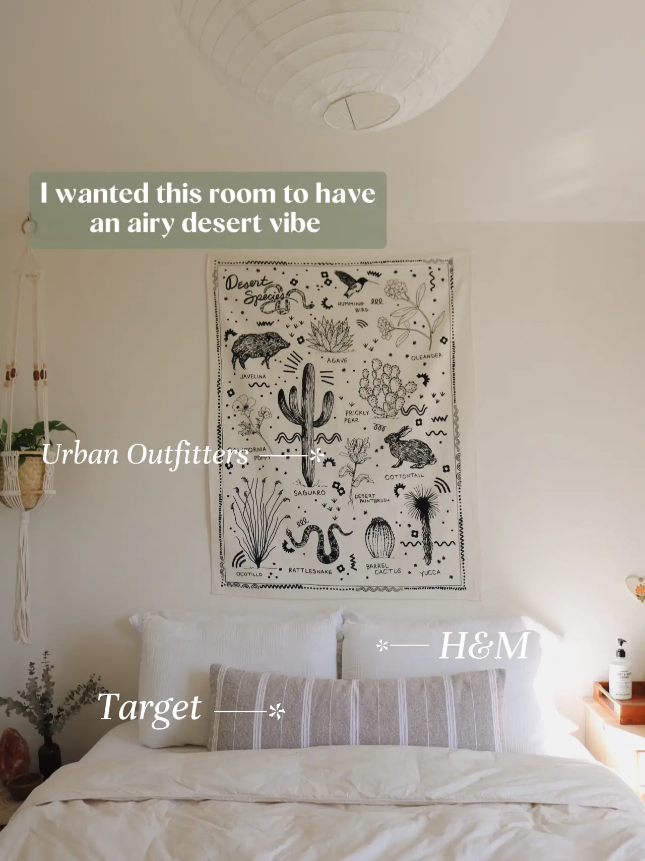 A look at my guest bedroom Gallery posted by Indigo
