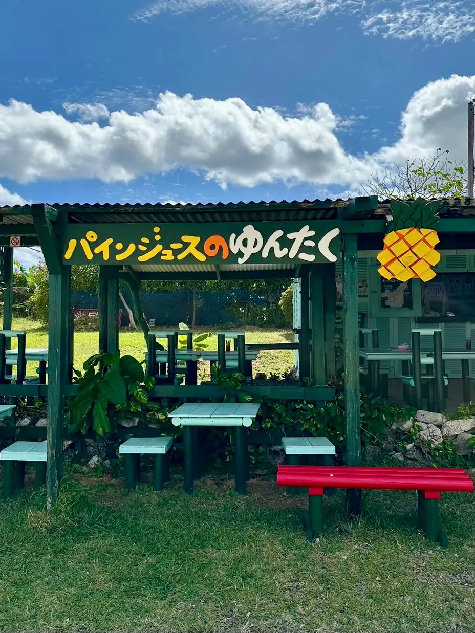 パインジュース ゆんたく>