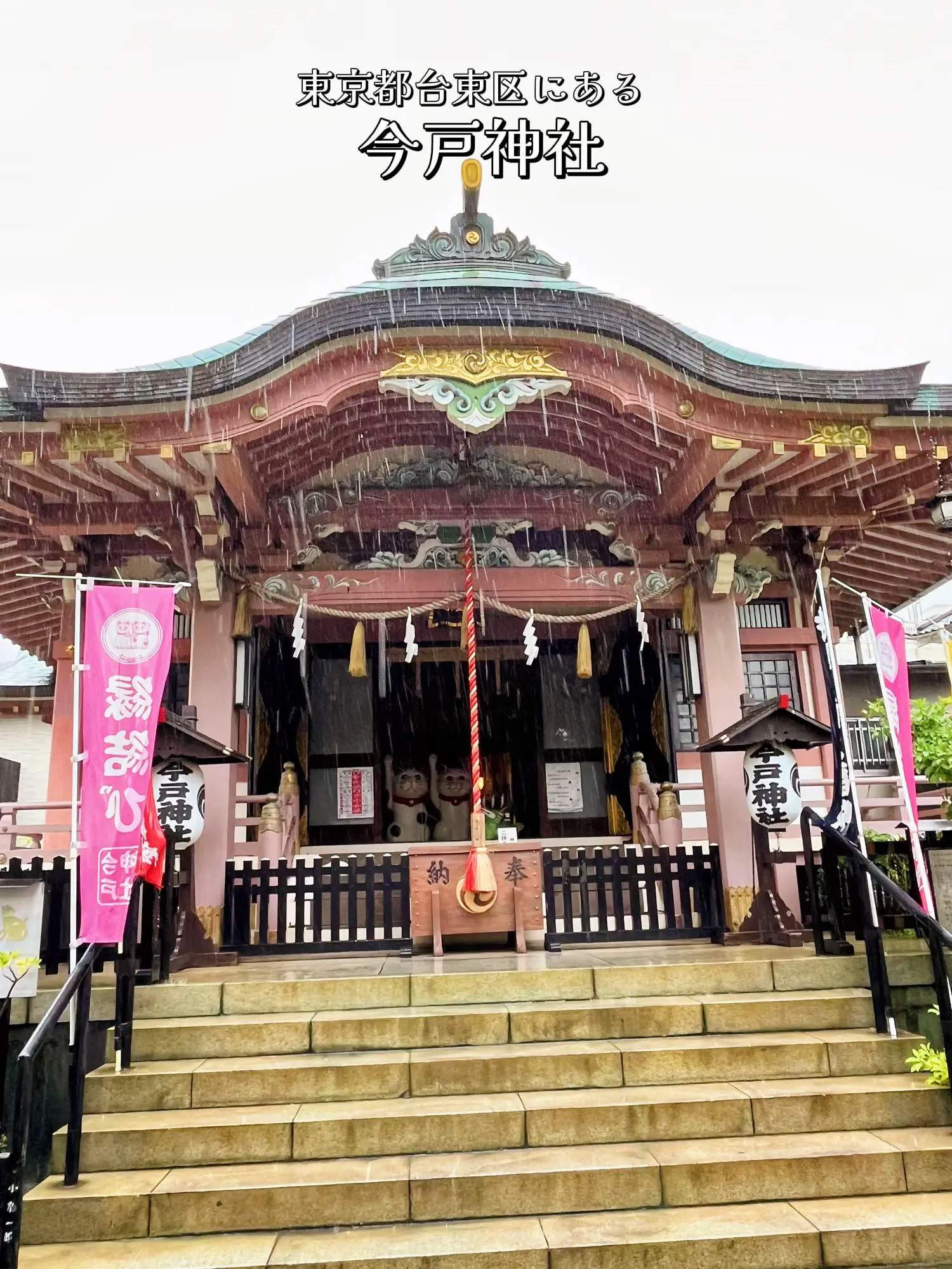 東京】良縁結びのパワースポット！招き猫だらけの縁結び神社·͜·♡ | naomi✿愛犬×おでかけ記録が投稿したフォトブック | Lemon8