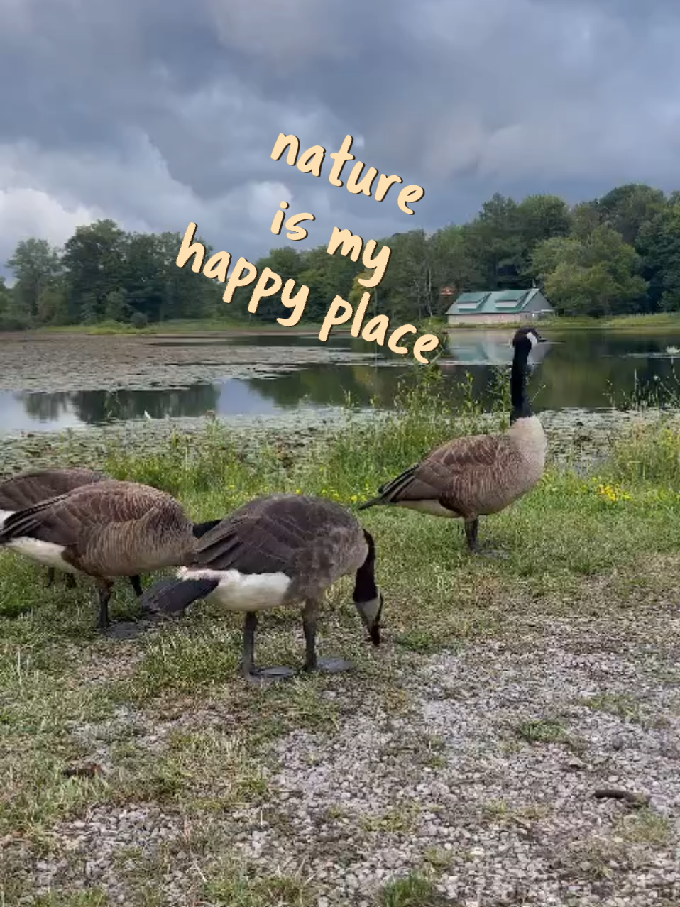 nature is my happy place | Video published by Maritza B | Lemon8