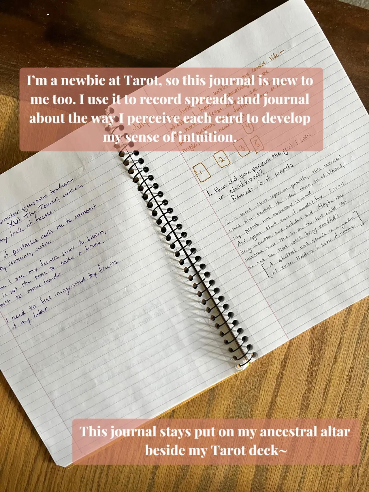 Tarot Journal: Tarot Tracker and Notebook for Writing & Reading