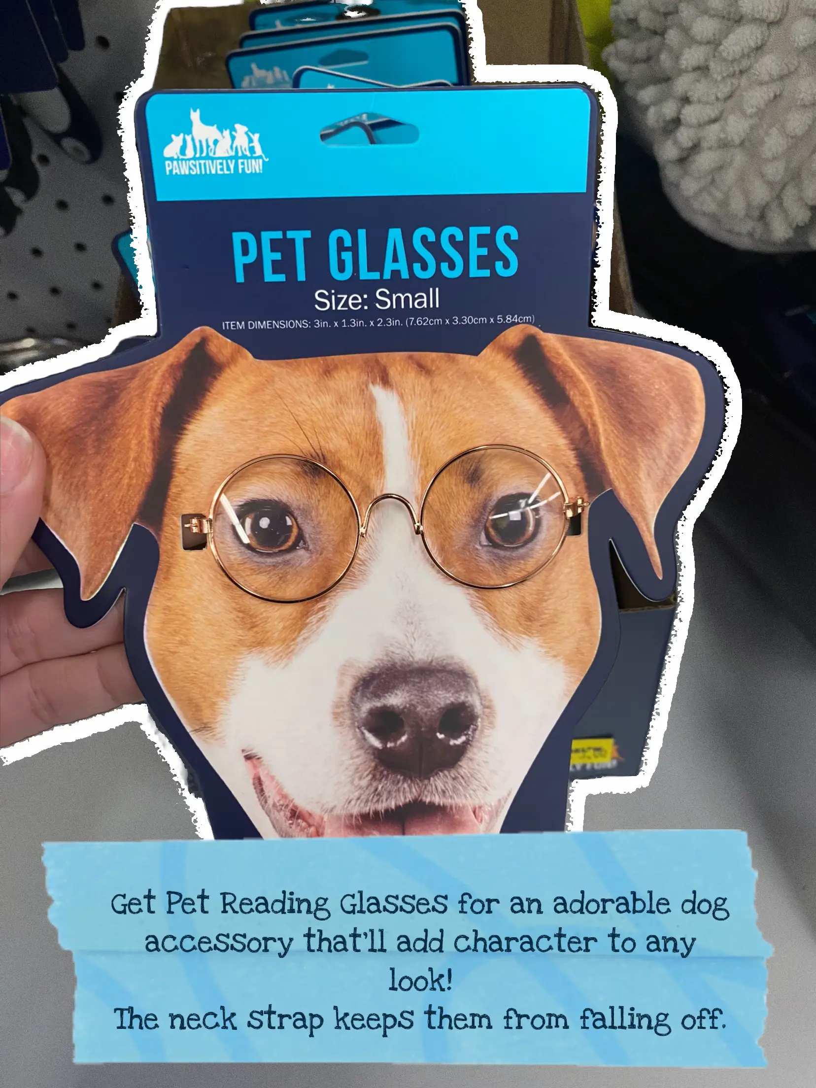 Cheap Pet Supplies at Five Below Lemon8 Search