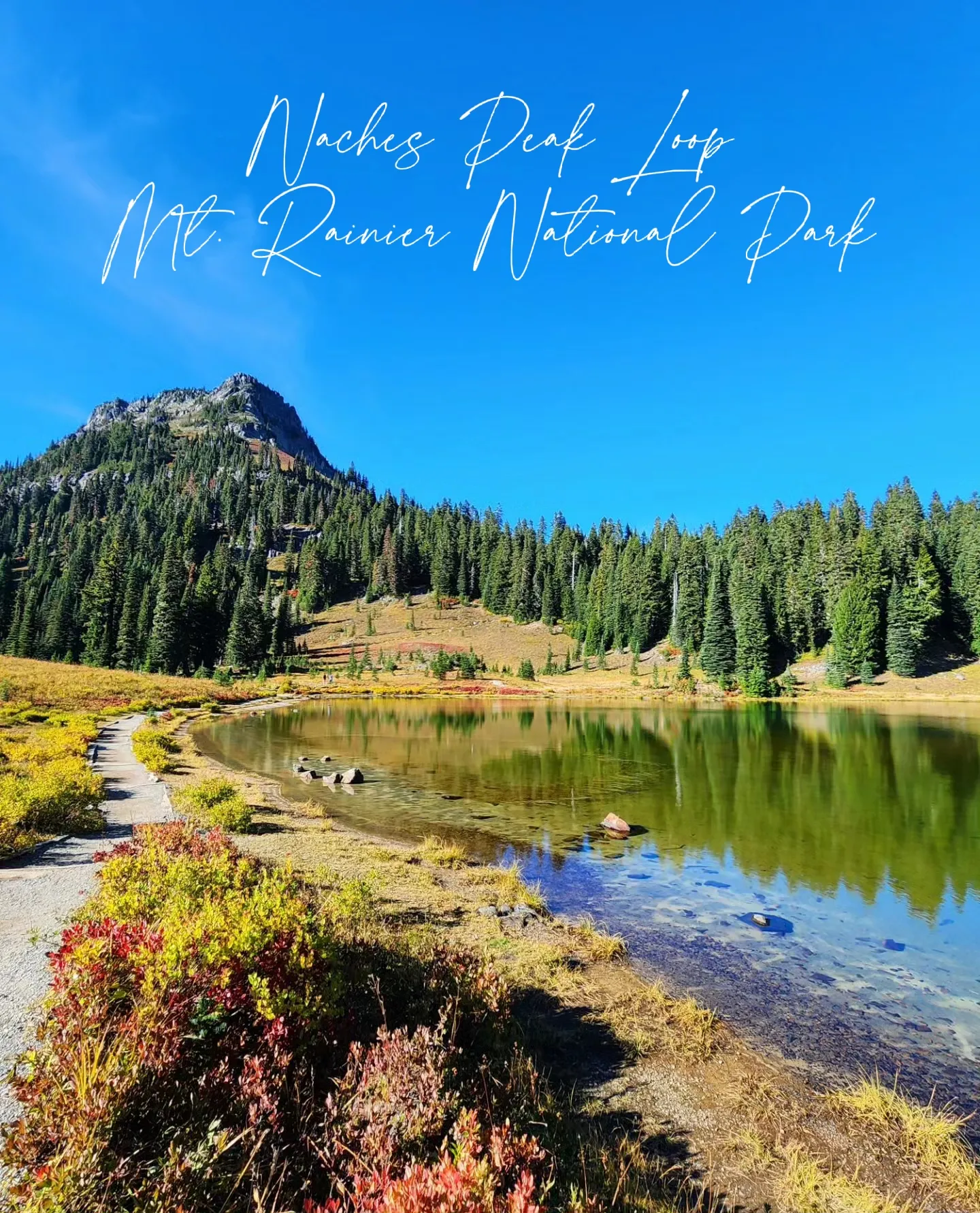 Naches Peak Loop, Mt. Rainier National Park | Galeri diposting oleh ...